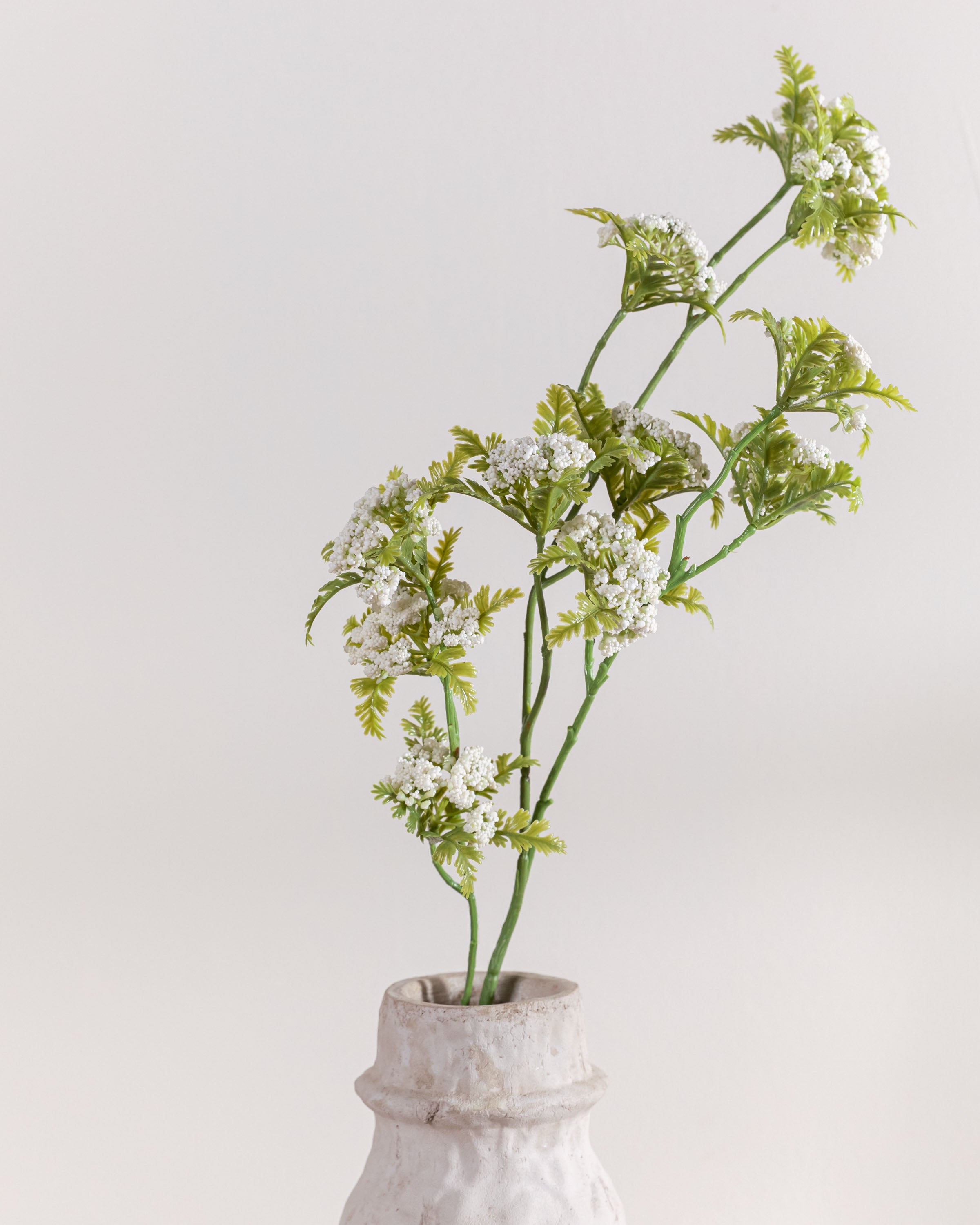 Rama Paniculata Verde