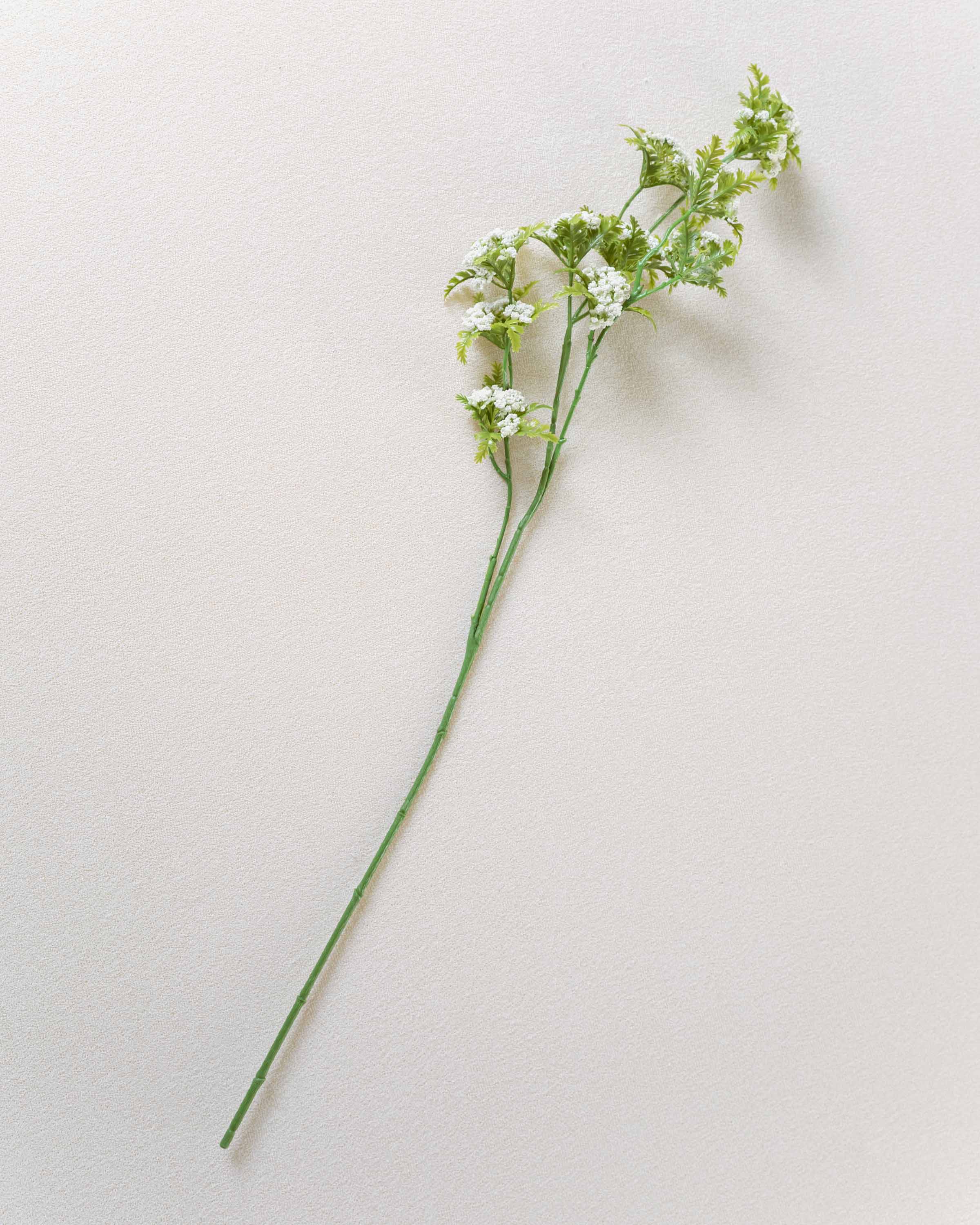 Rama Paniculata Verde