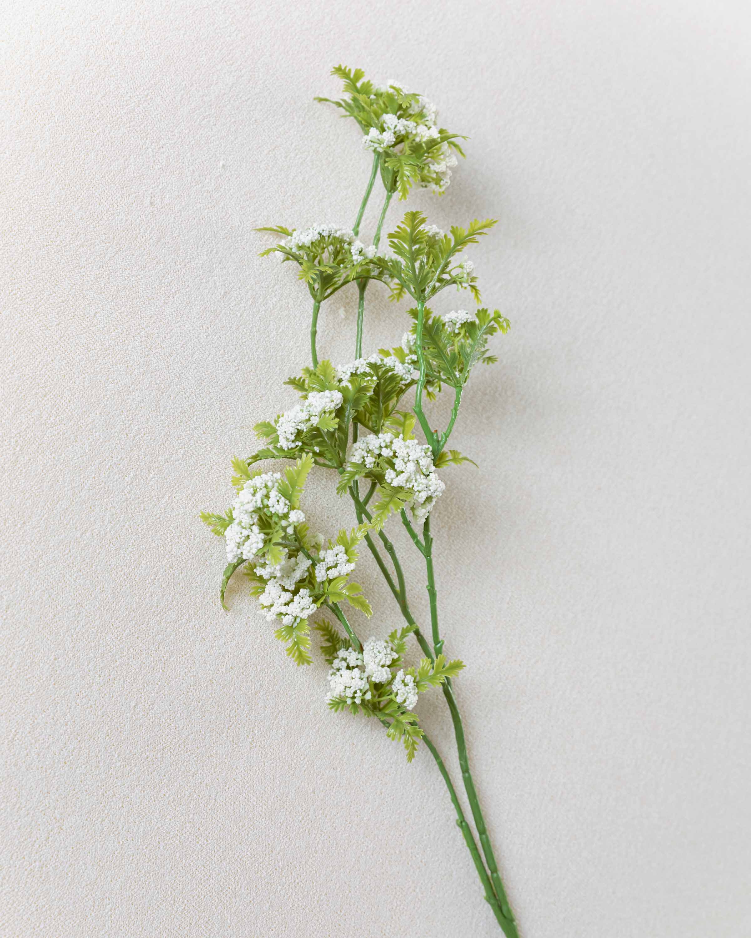 Rama Paniculata Verde