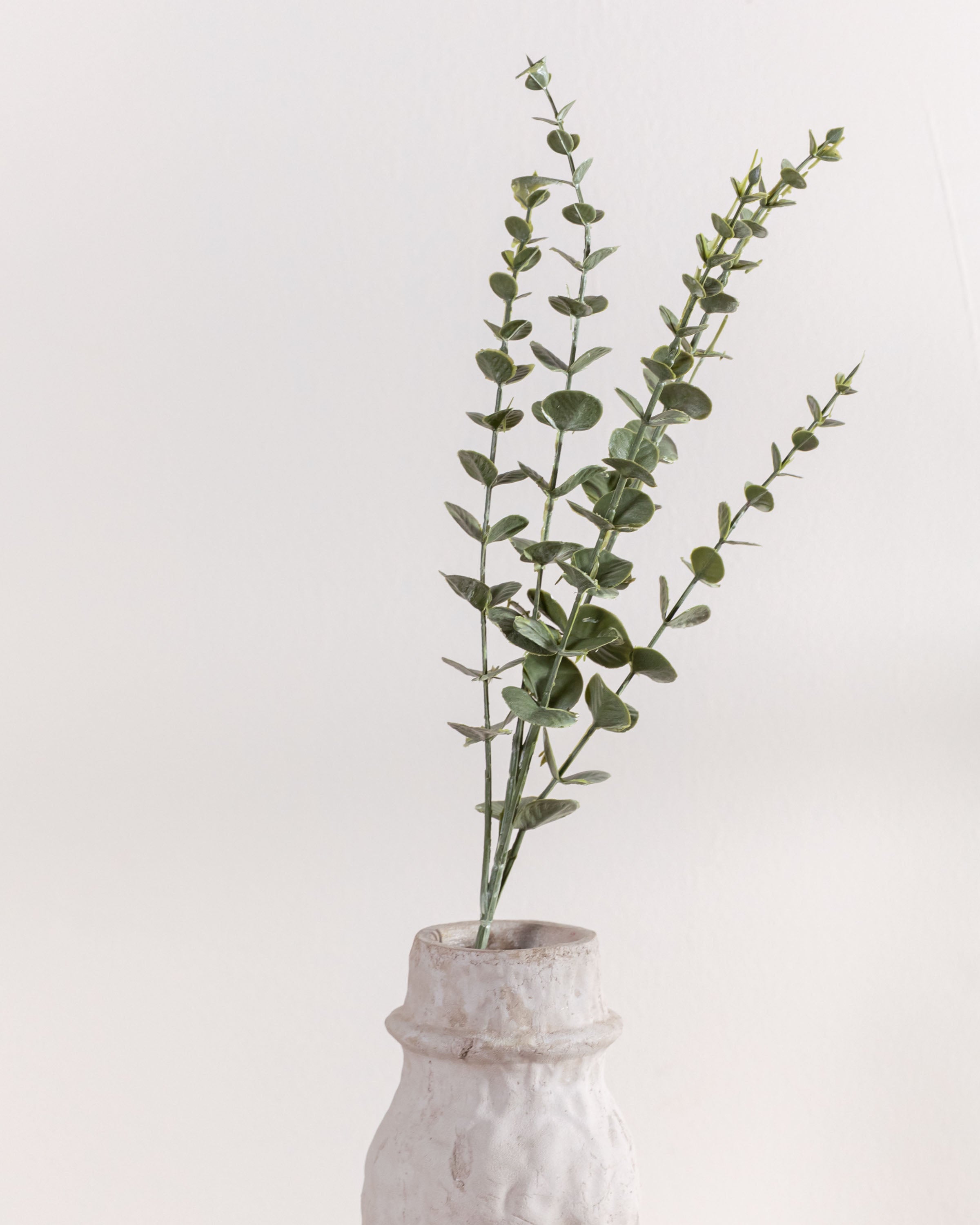 Rama Eucalipto Verde