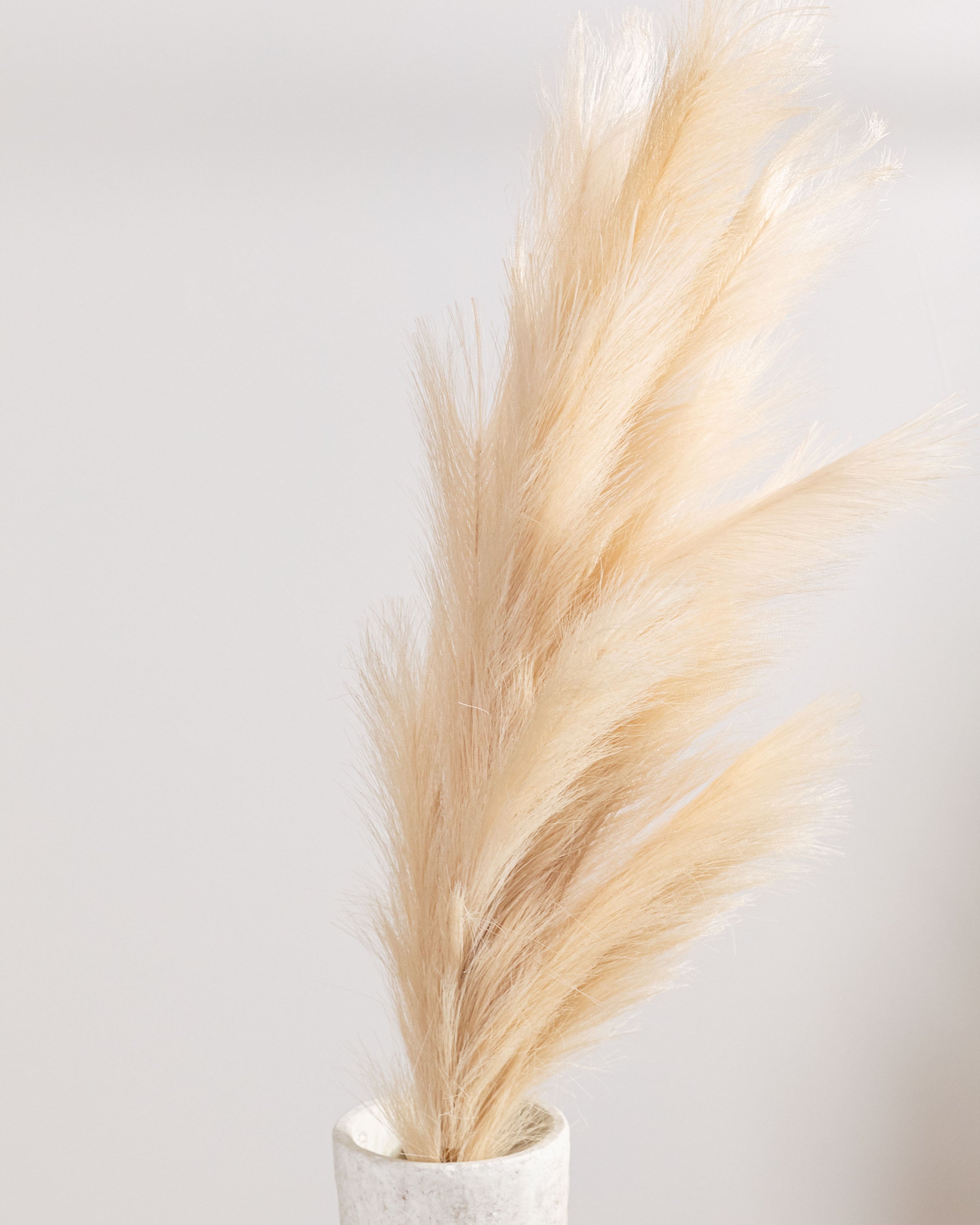 Pampa Beige