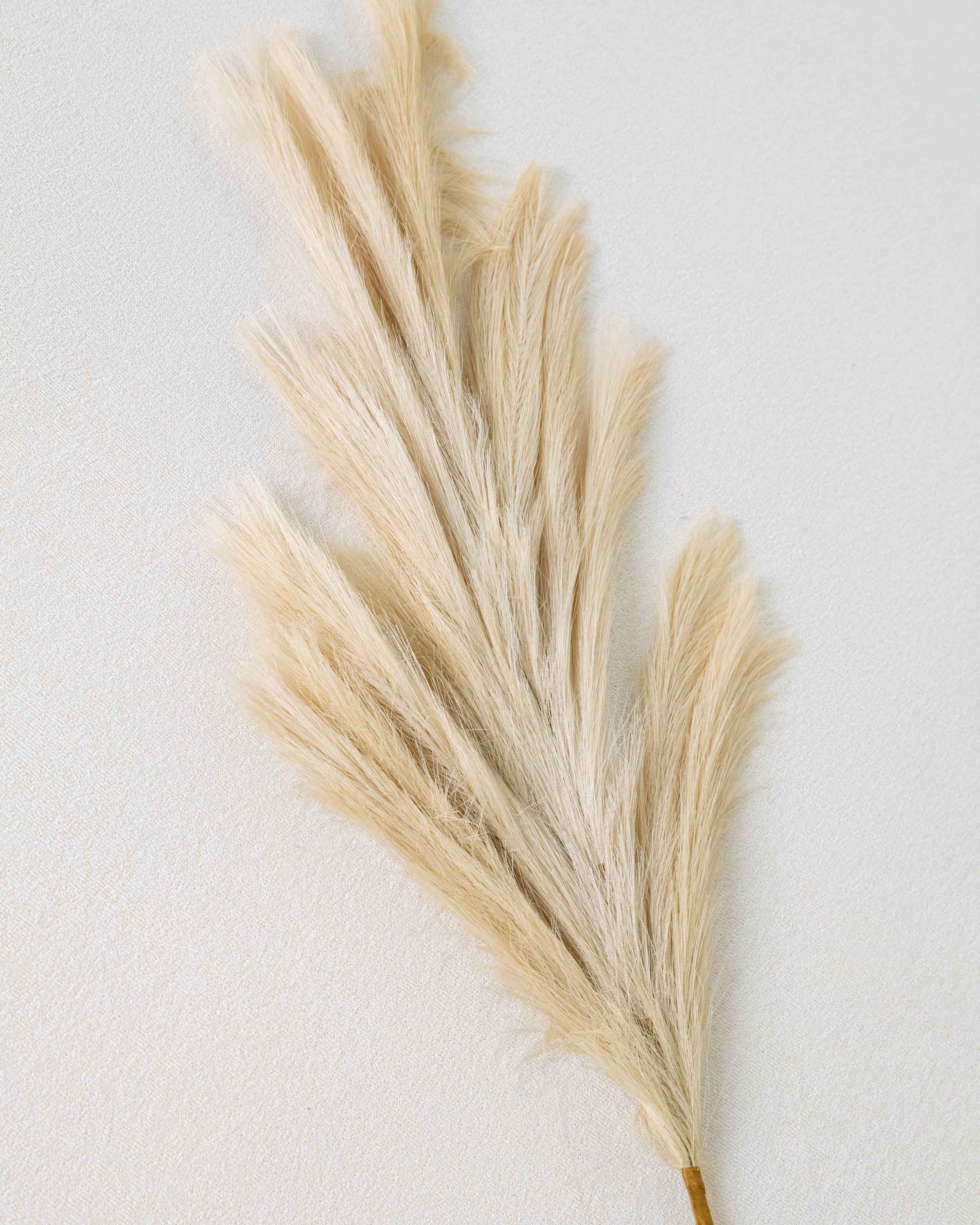 Pampa Beige