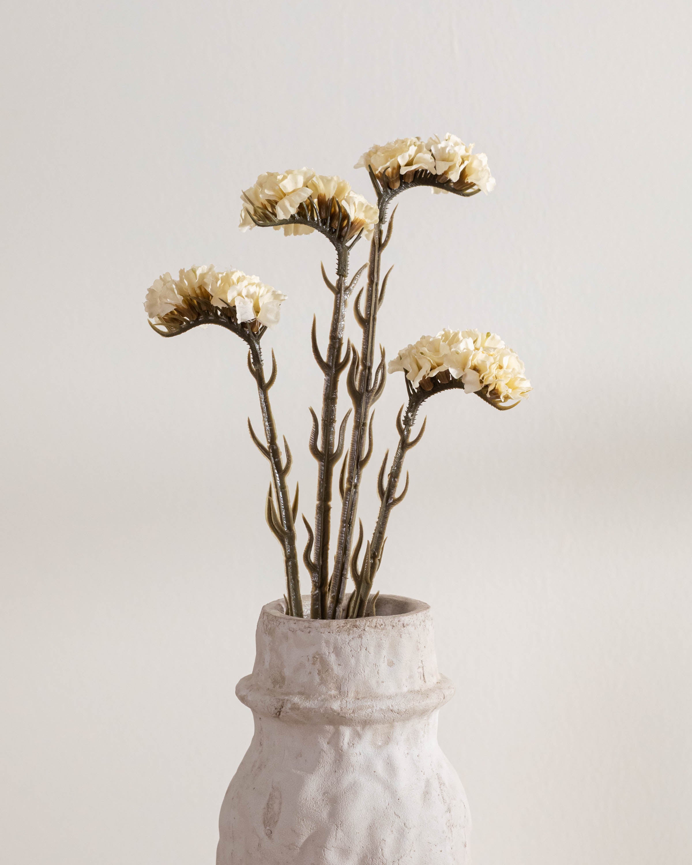 Rama Limonium Natural