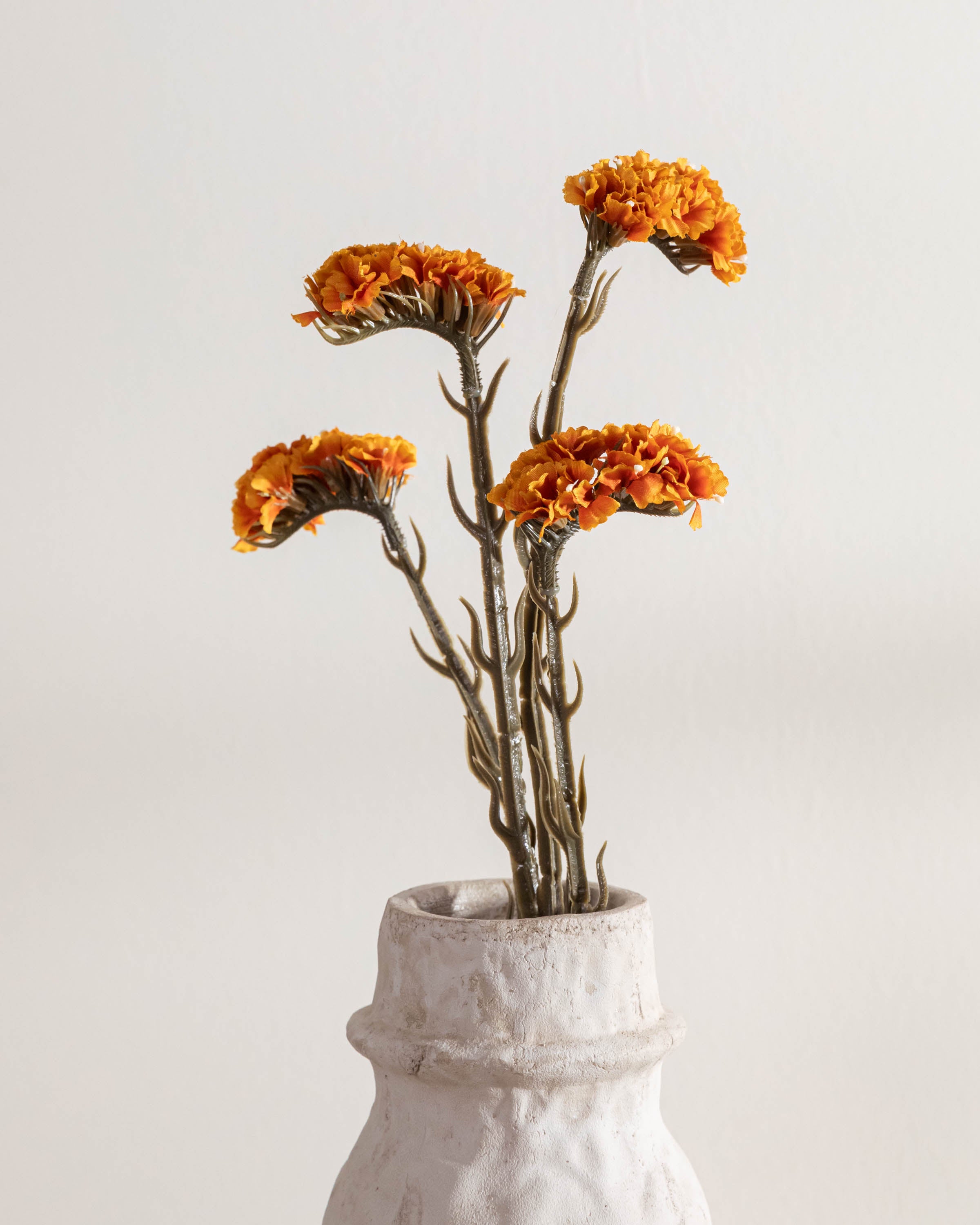 Ramo da Caldeira de Limonium