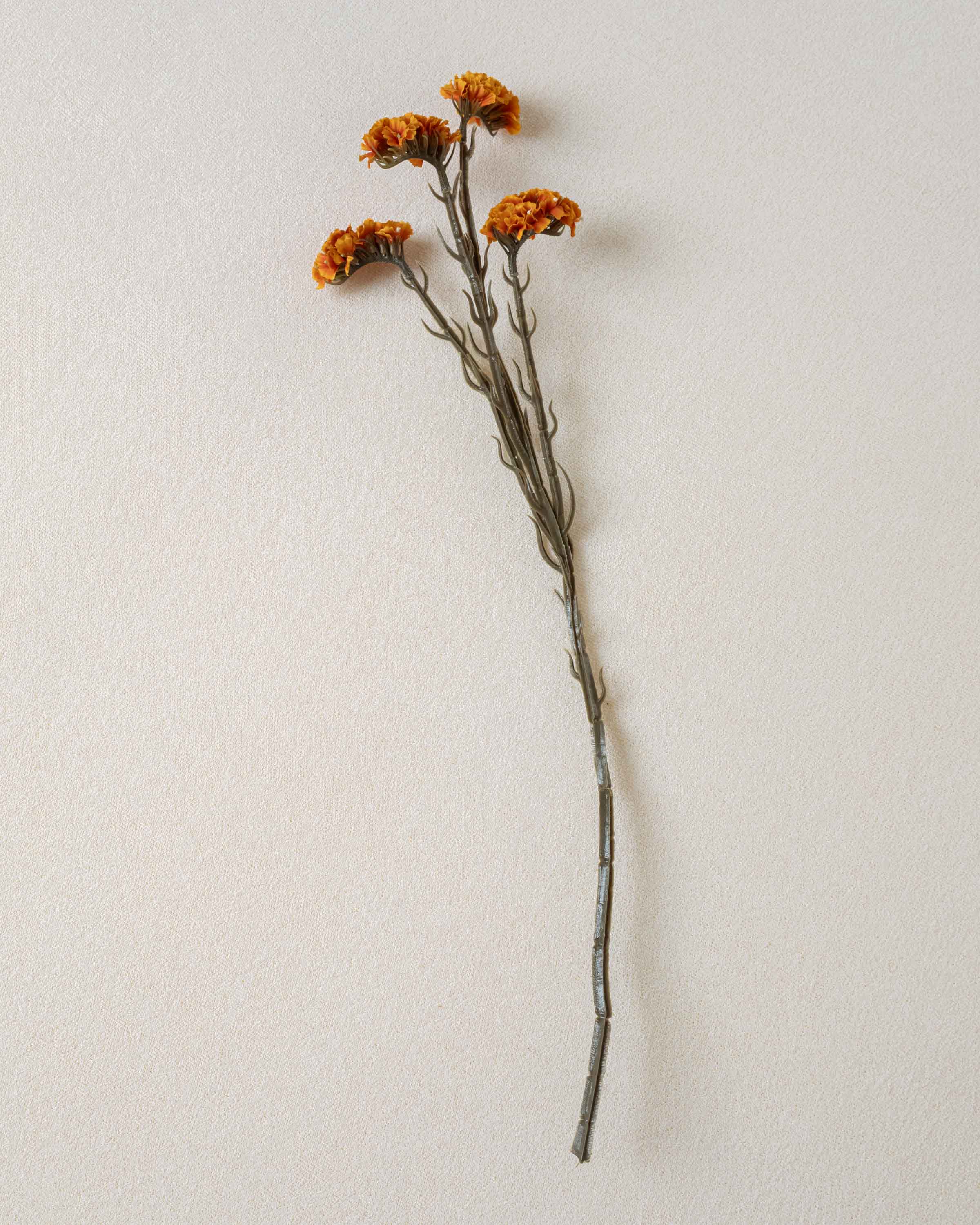 Ramo da Caldeira de Limonium
