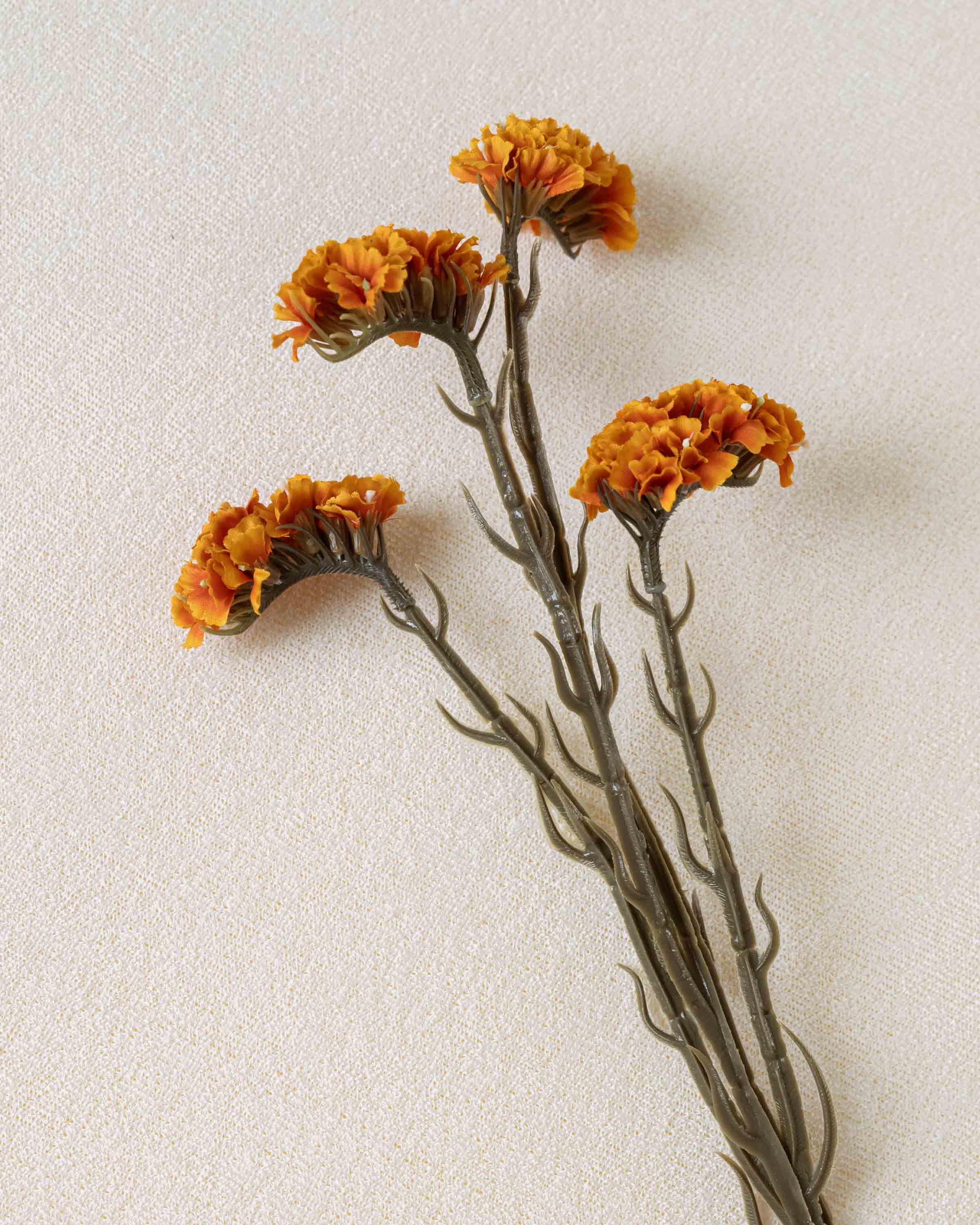Ramo da Caldeira de Limonium