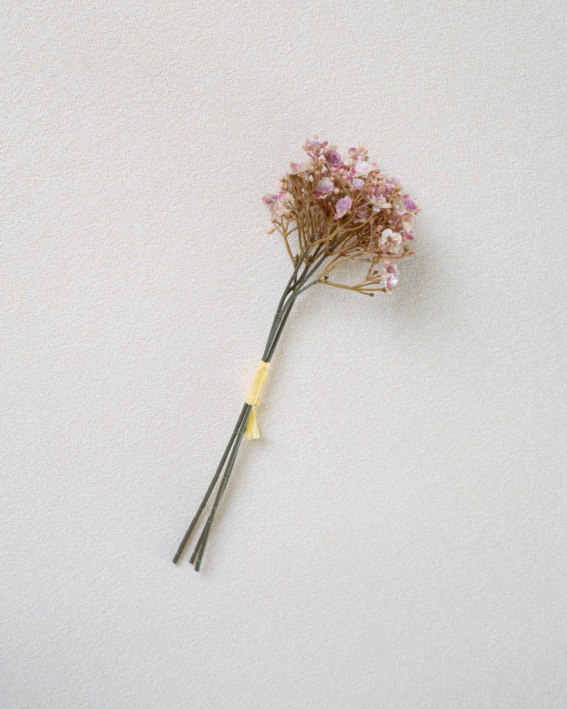Ramo de Gypsophila Rosa