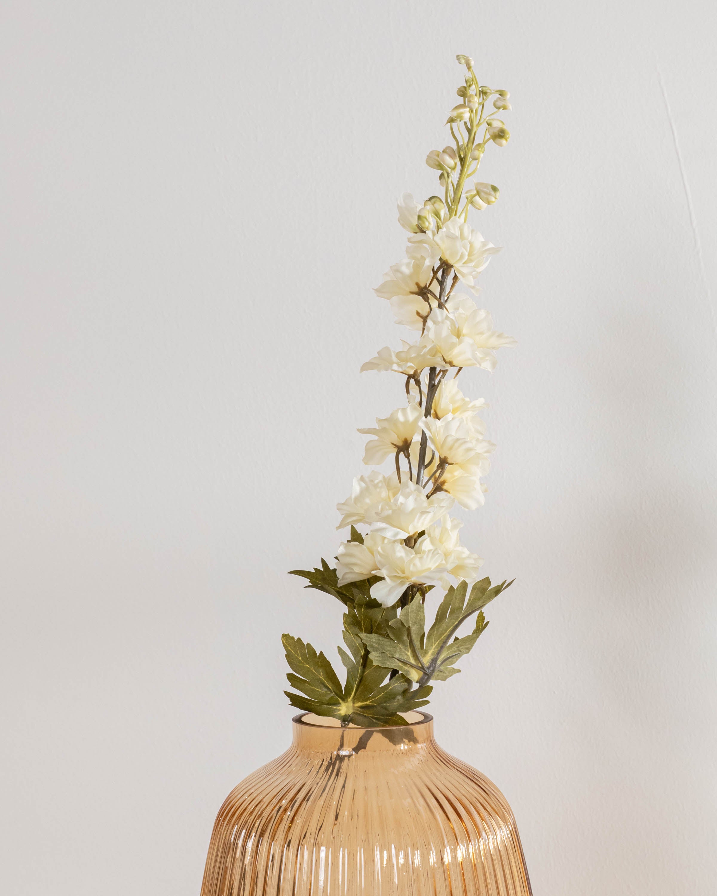 Flor Delphinium Natural