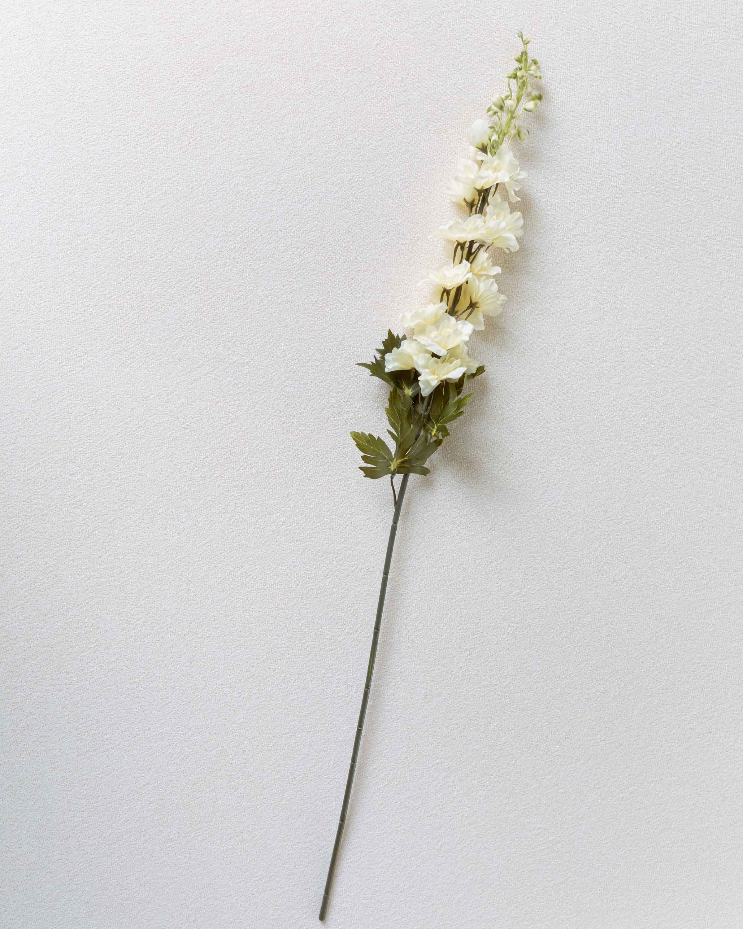Flor Delphinium Natural