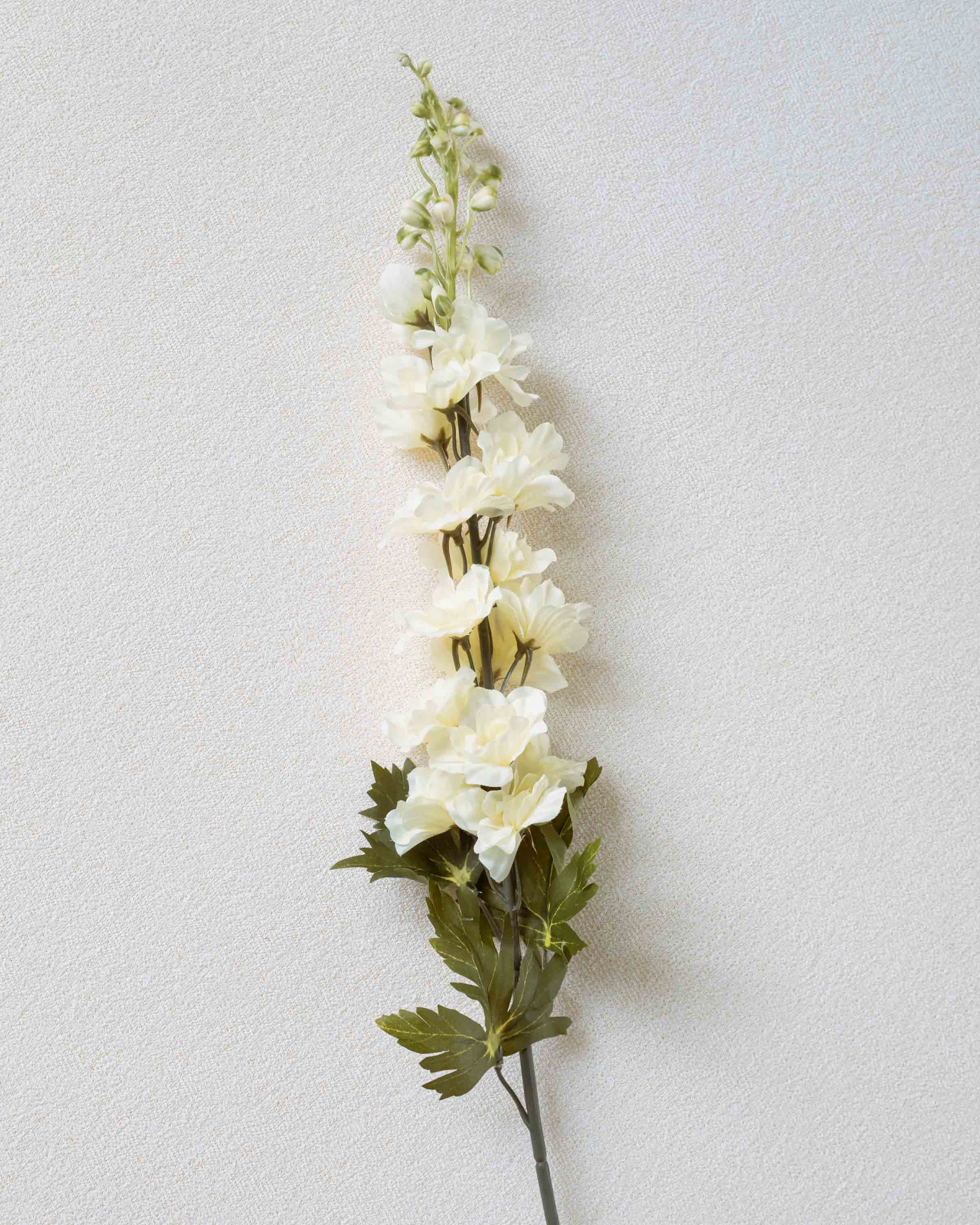 Flor Delphinium Natural