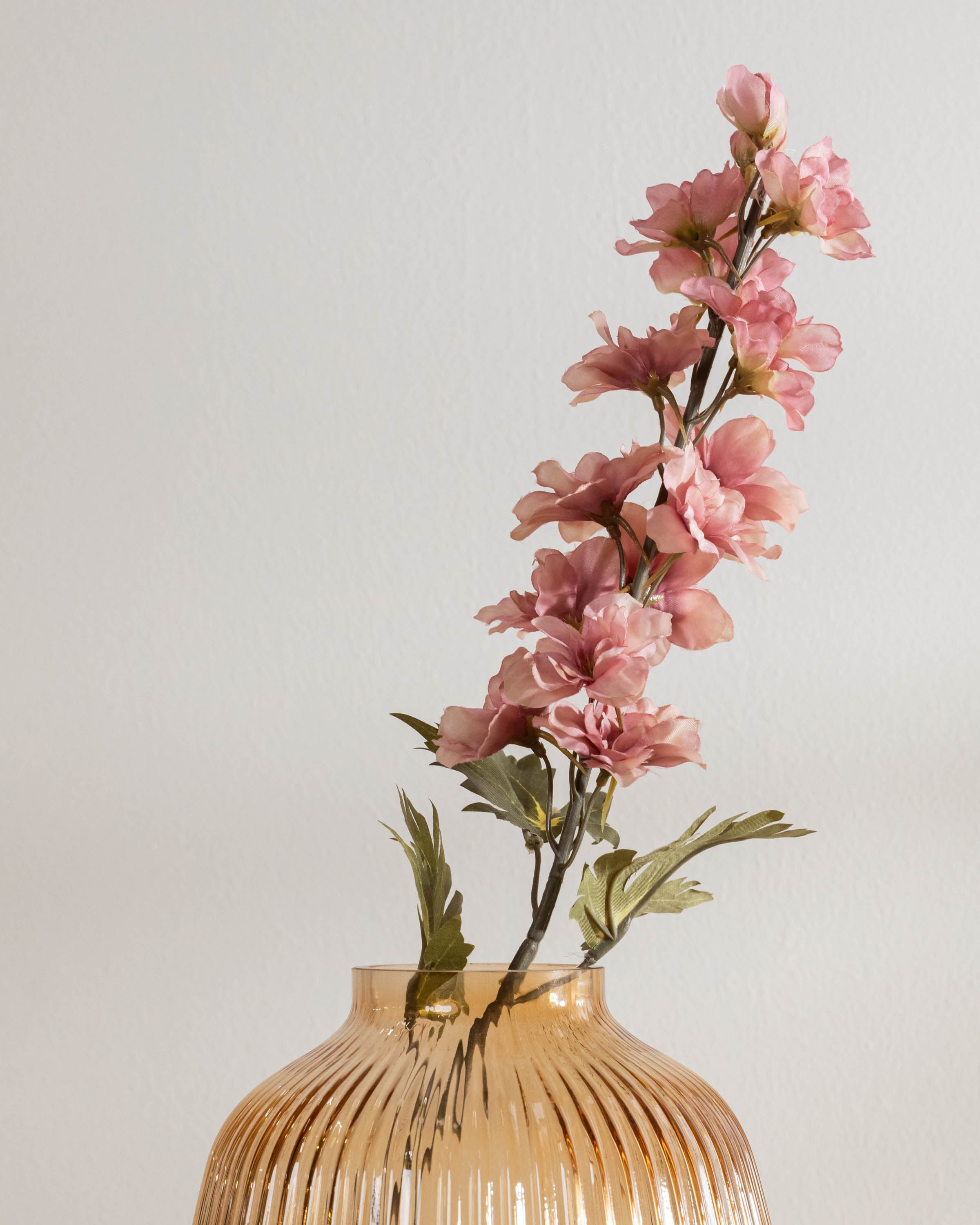 Flor Delphinium Rosa