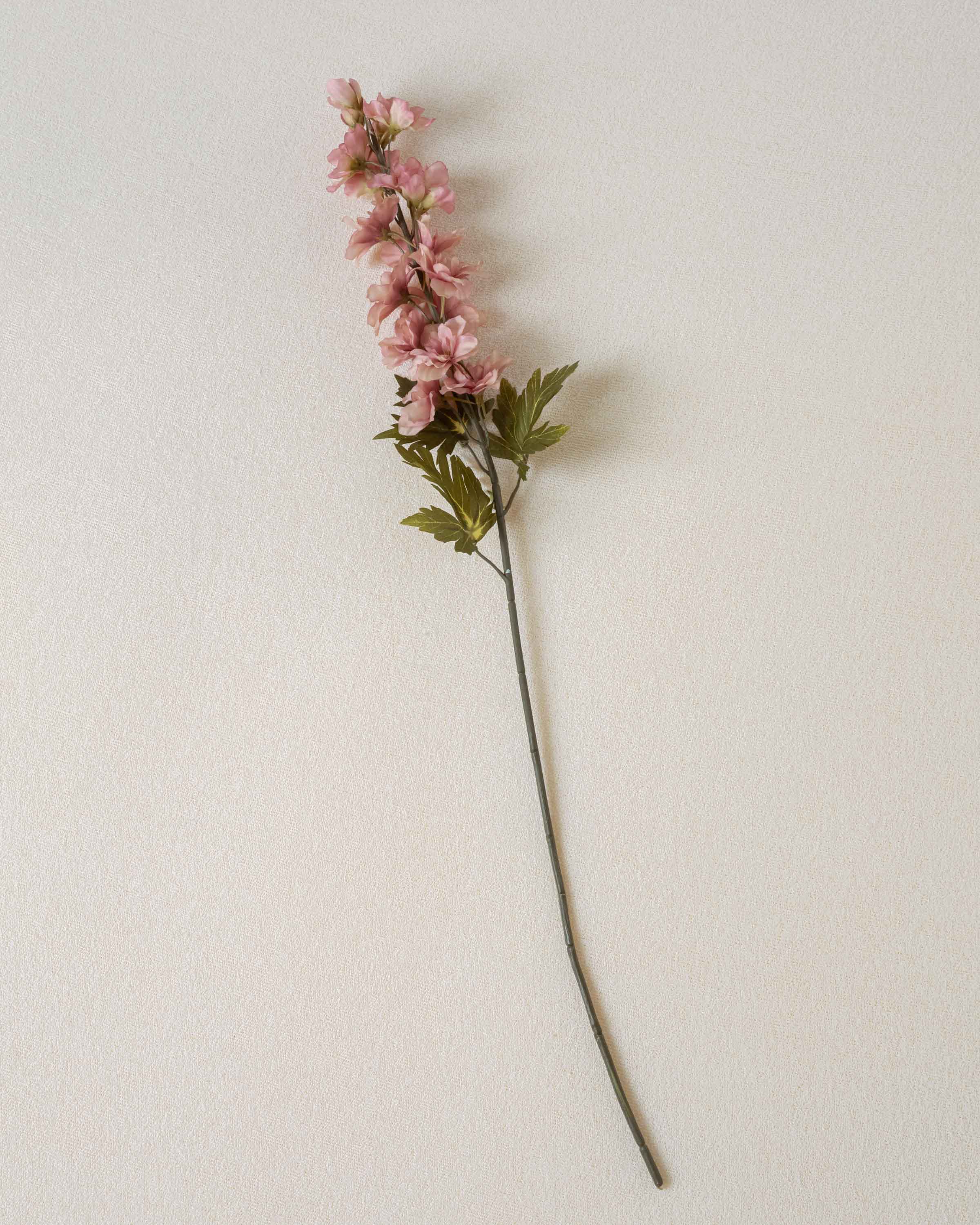Flor Delphinium Rosa