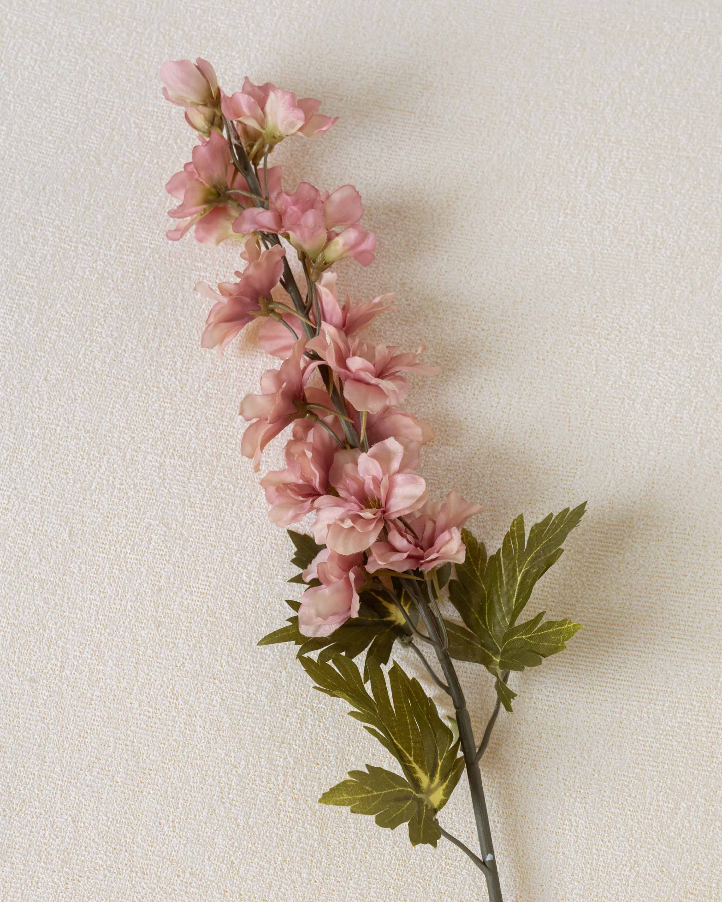 Flor Delphinium Rosa