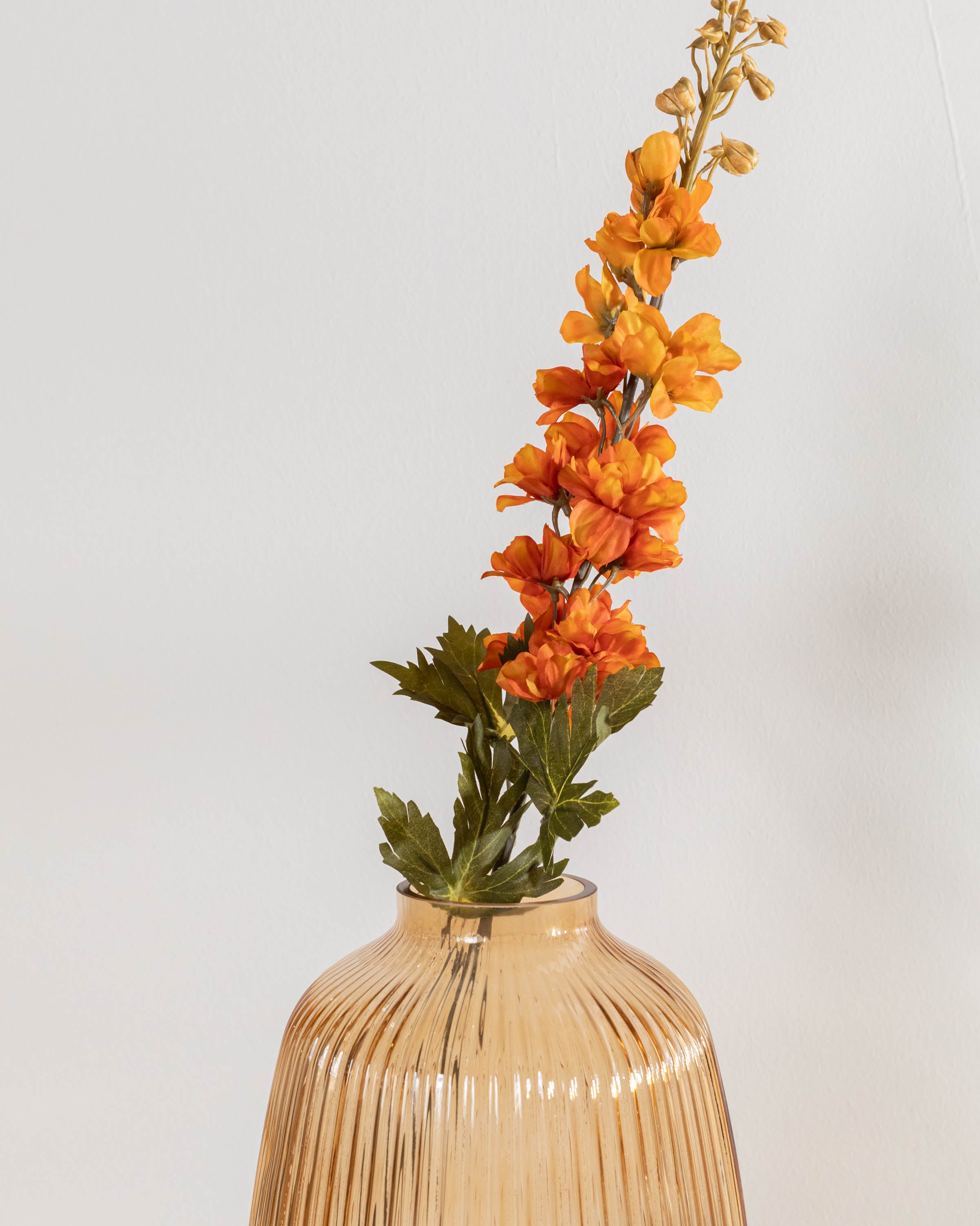 Flor Delphinium Caldera
