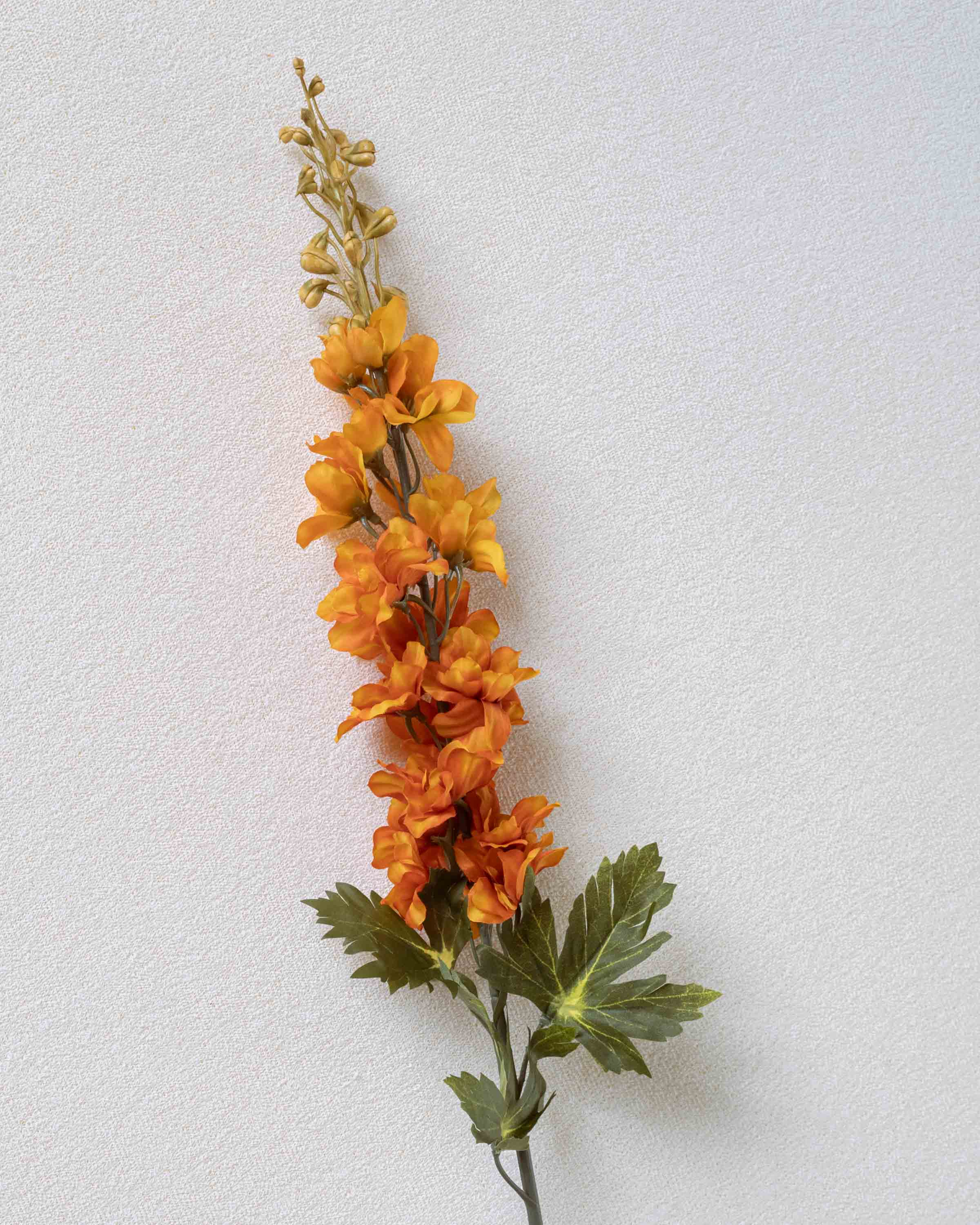 Flor Delphinium Caldera
