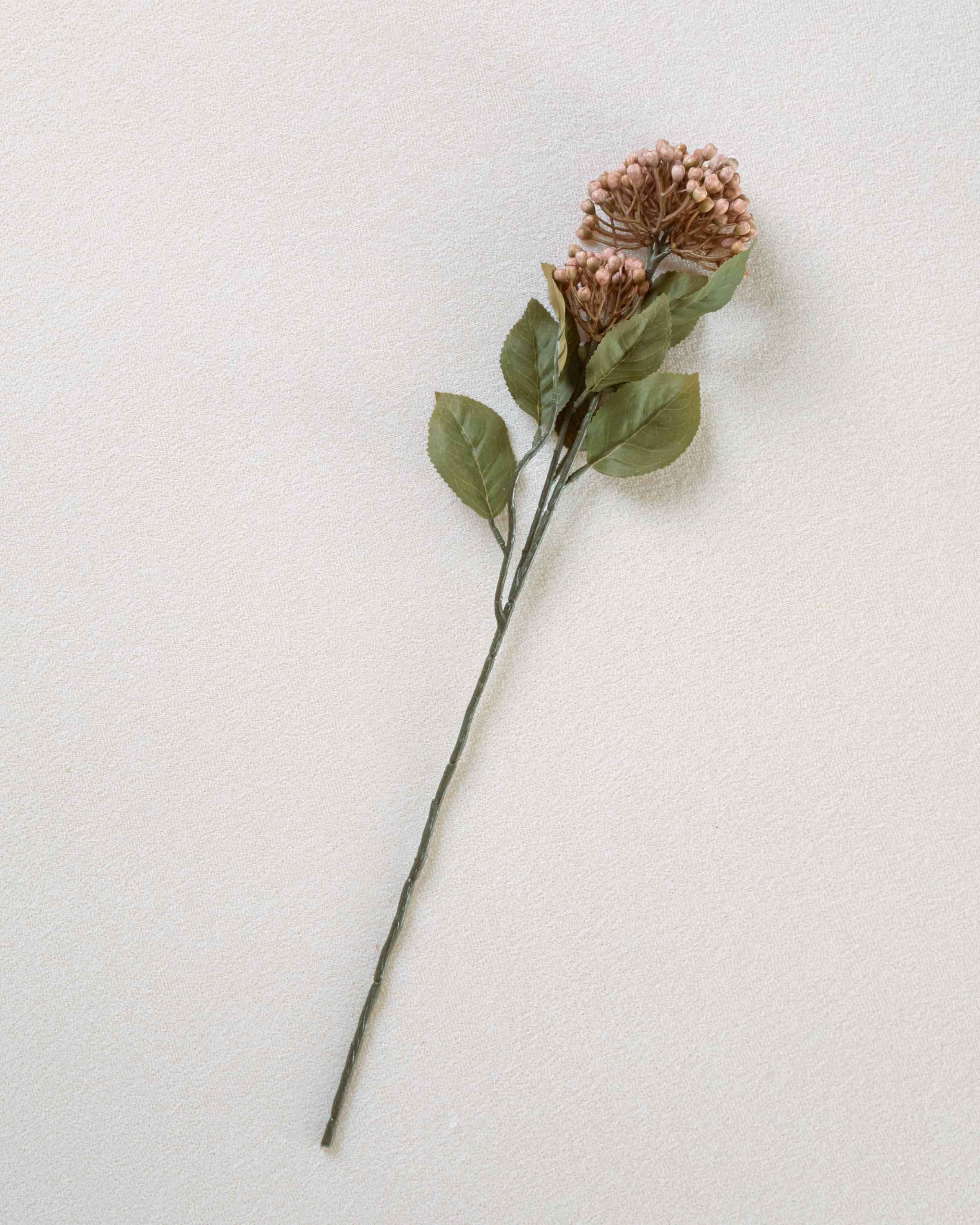 Flor Hortensia Rosa
