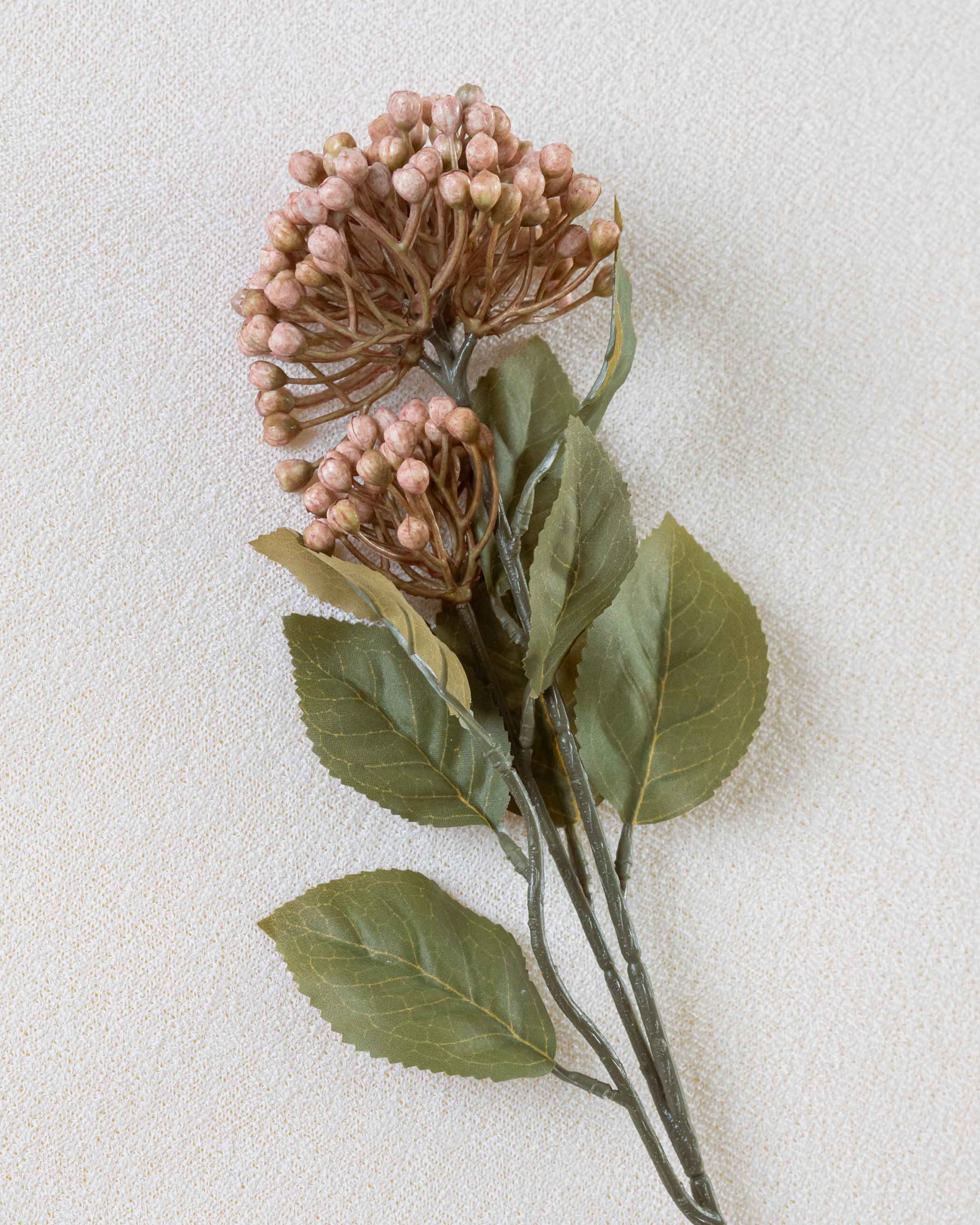 Flor Hortensia Rosa