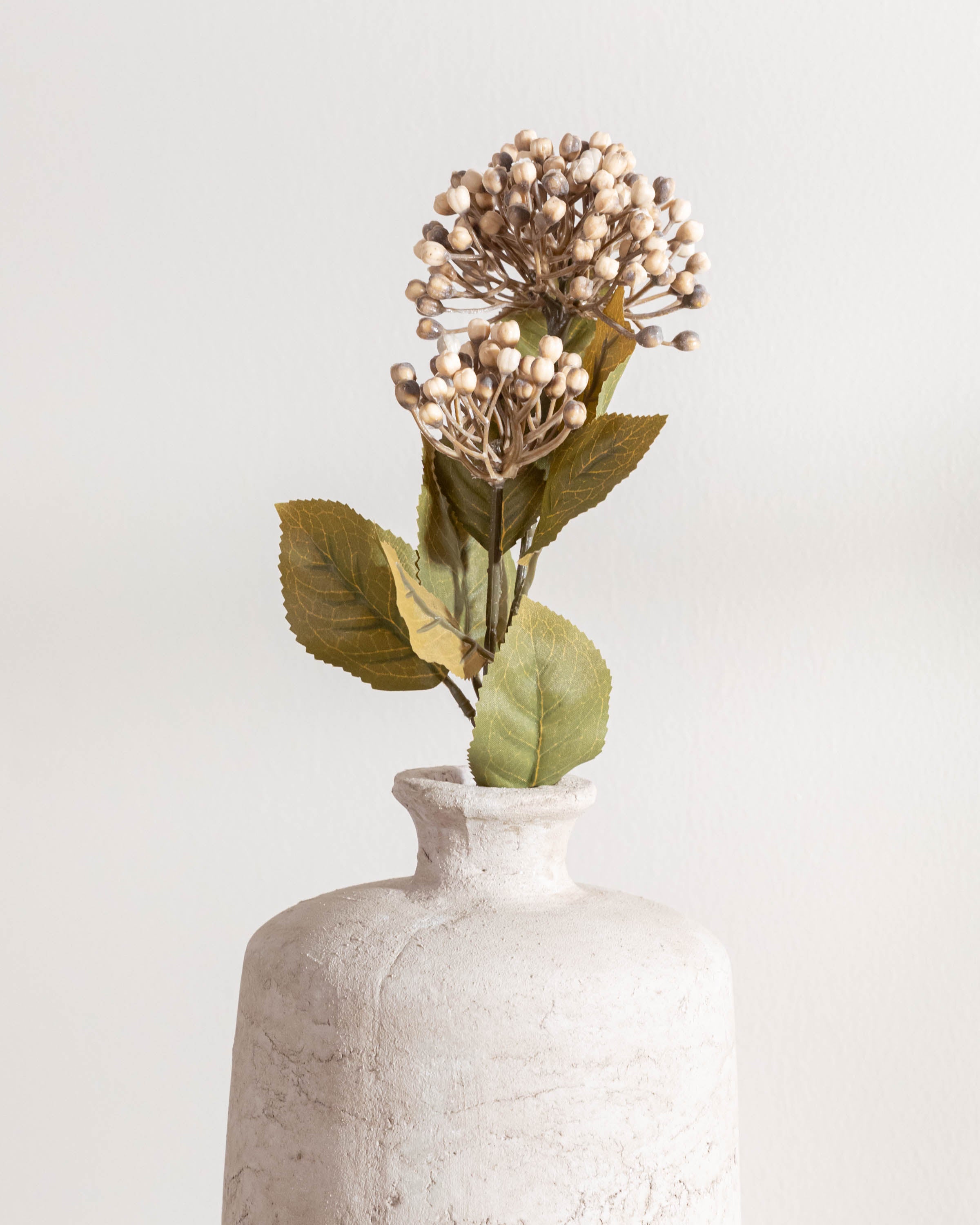 Flor Hortensia Marrón