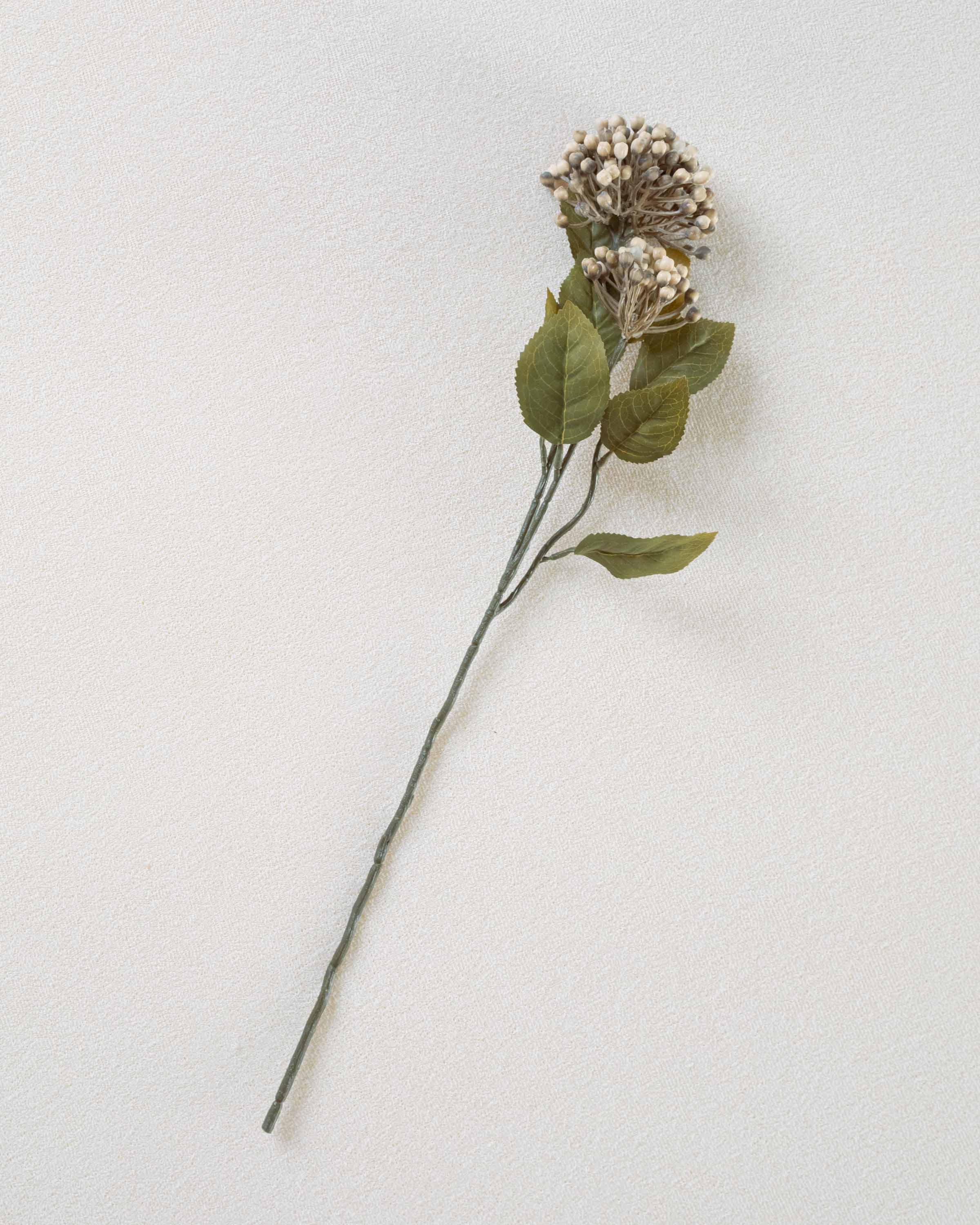 Flor Hortensia Marrón