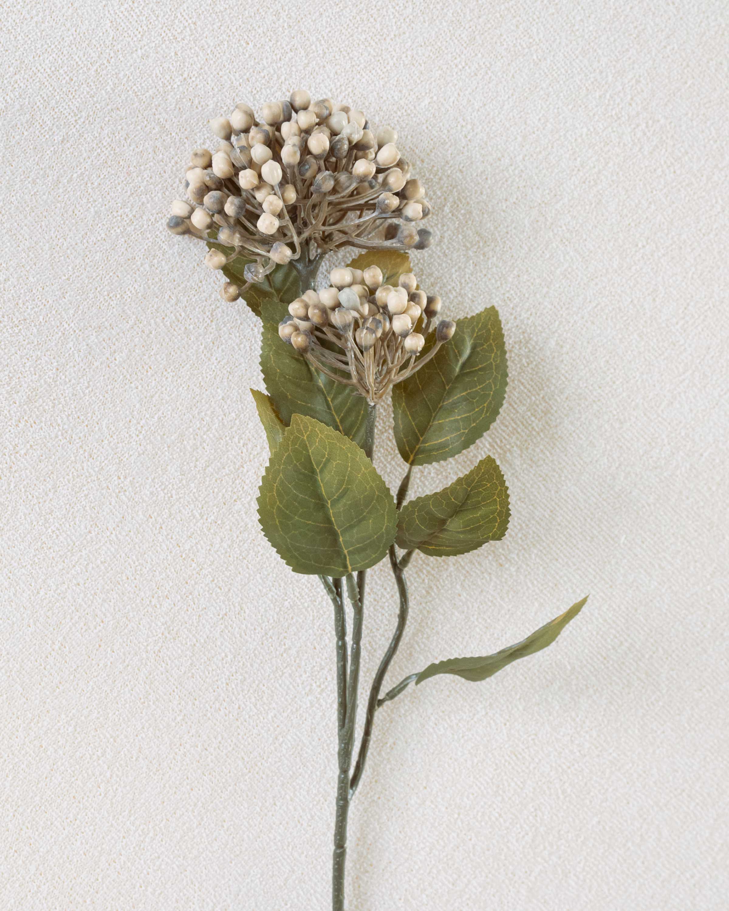 Flor Hortensia Marrón
