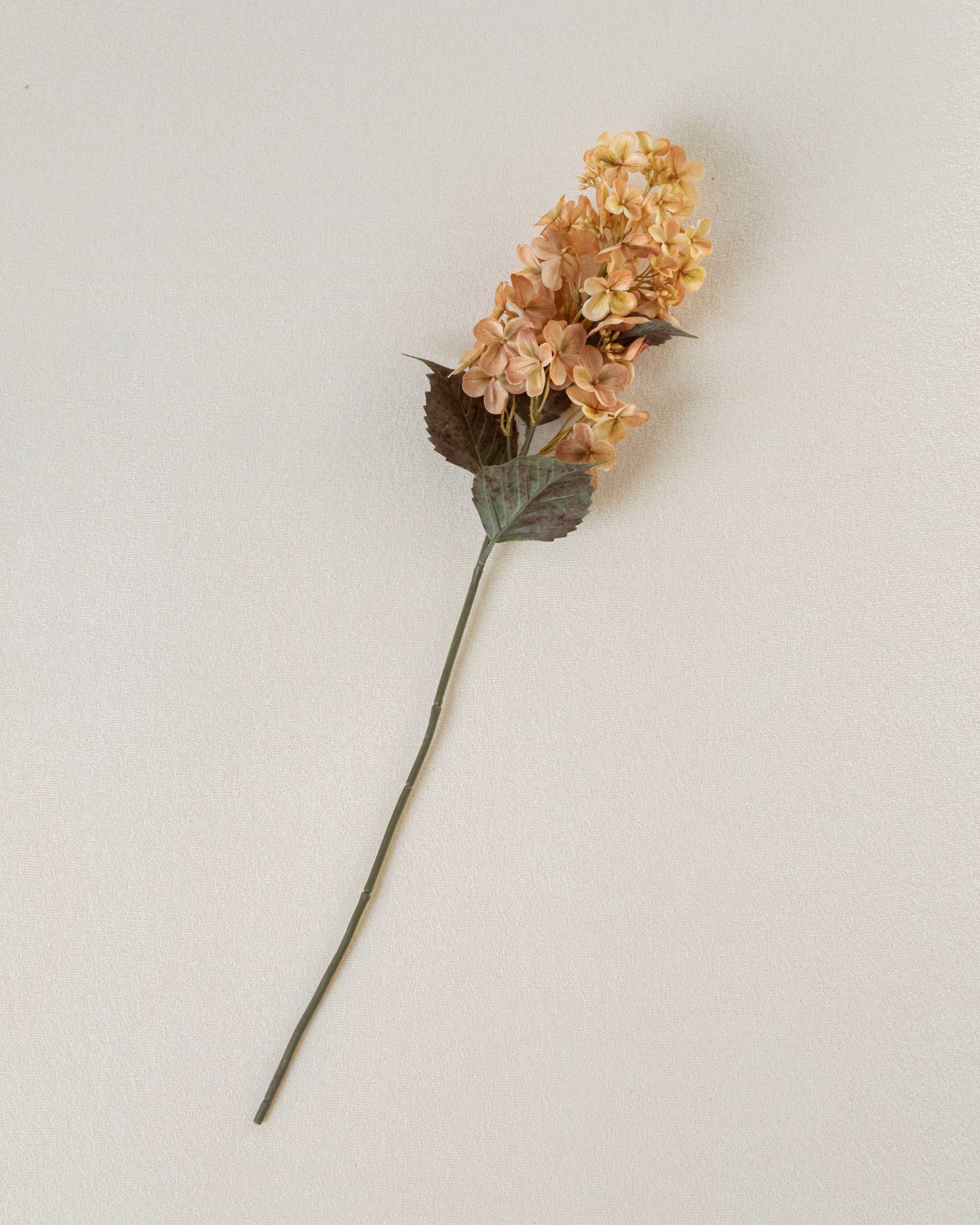 Flor de hortênsia cone bege