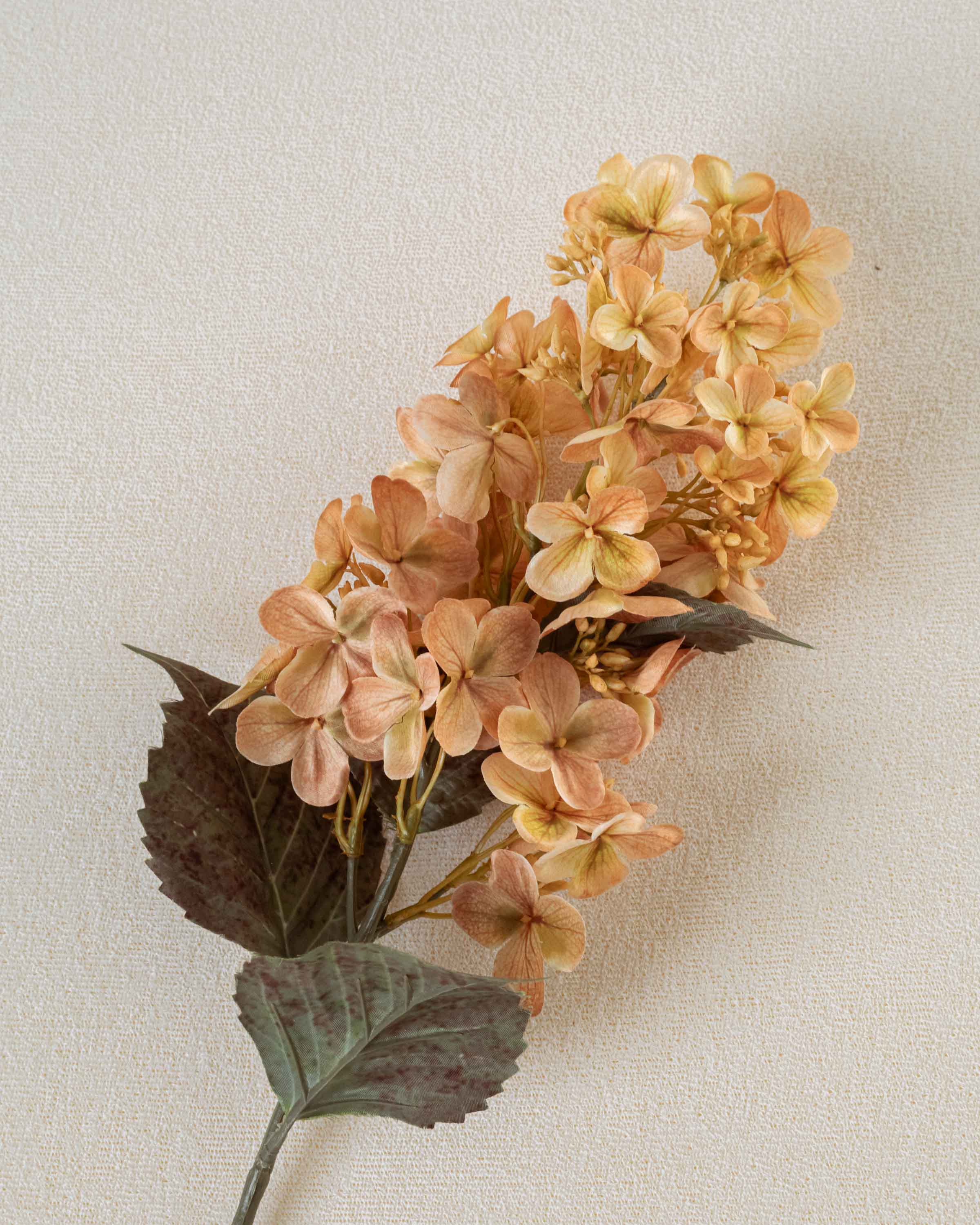 Flor de hortênsia cone bege