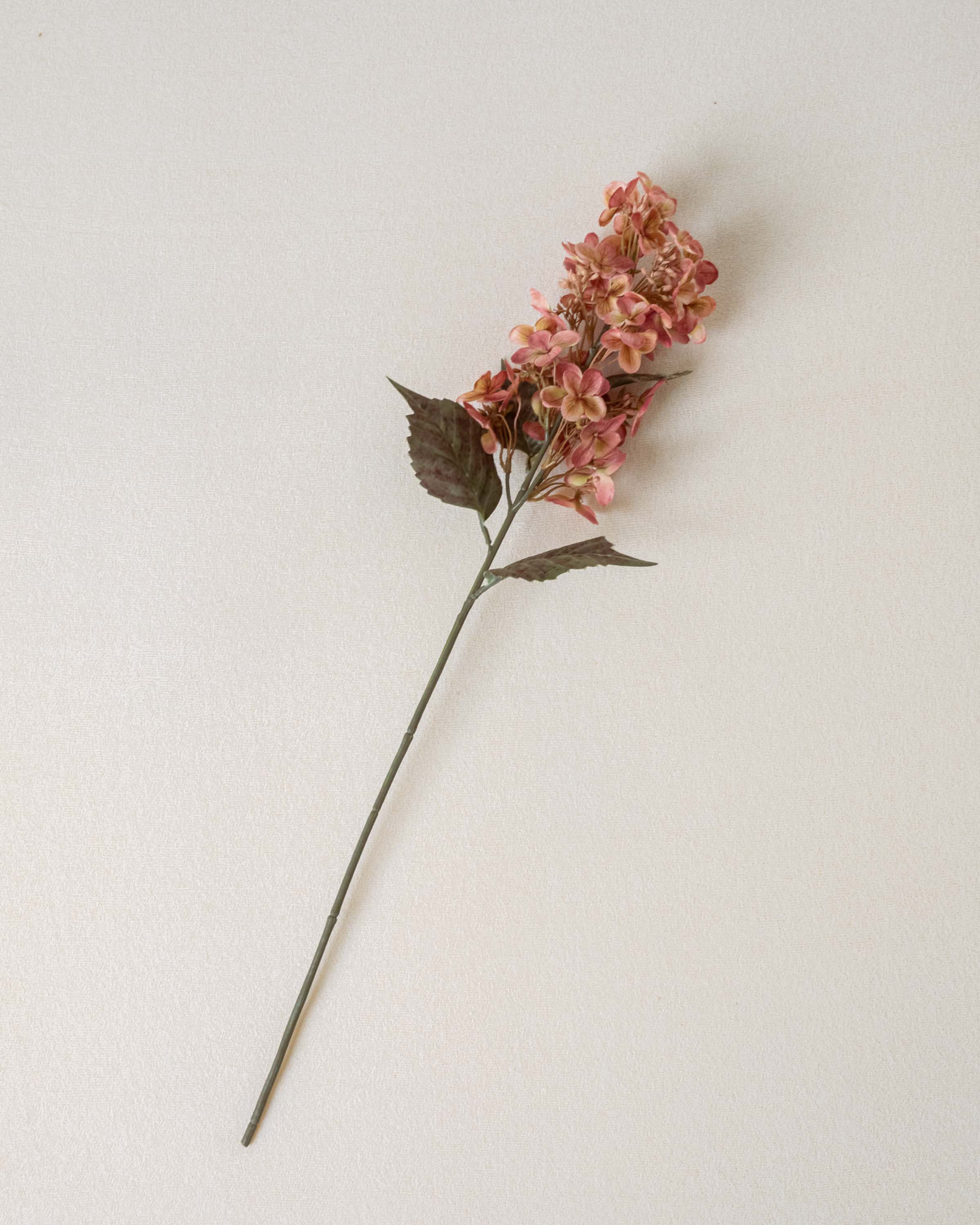 Flor de cone de hortênsia rosa
