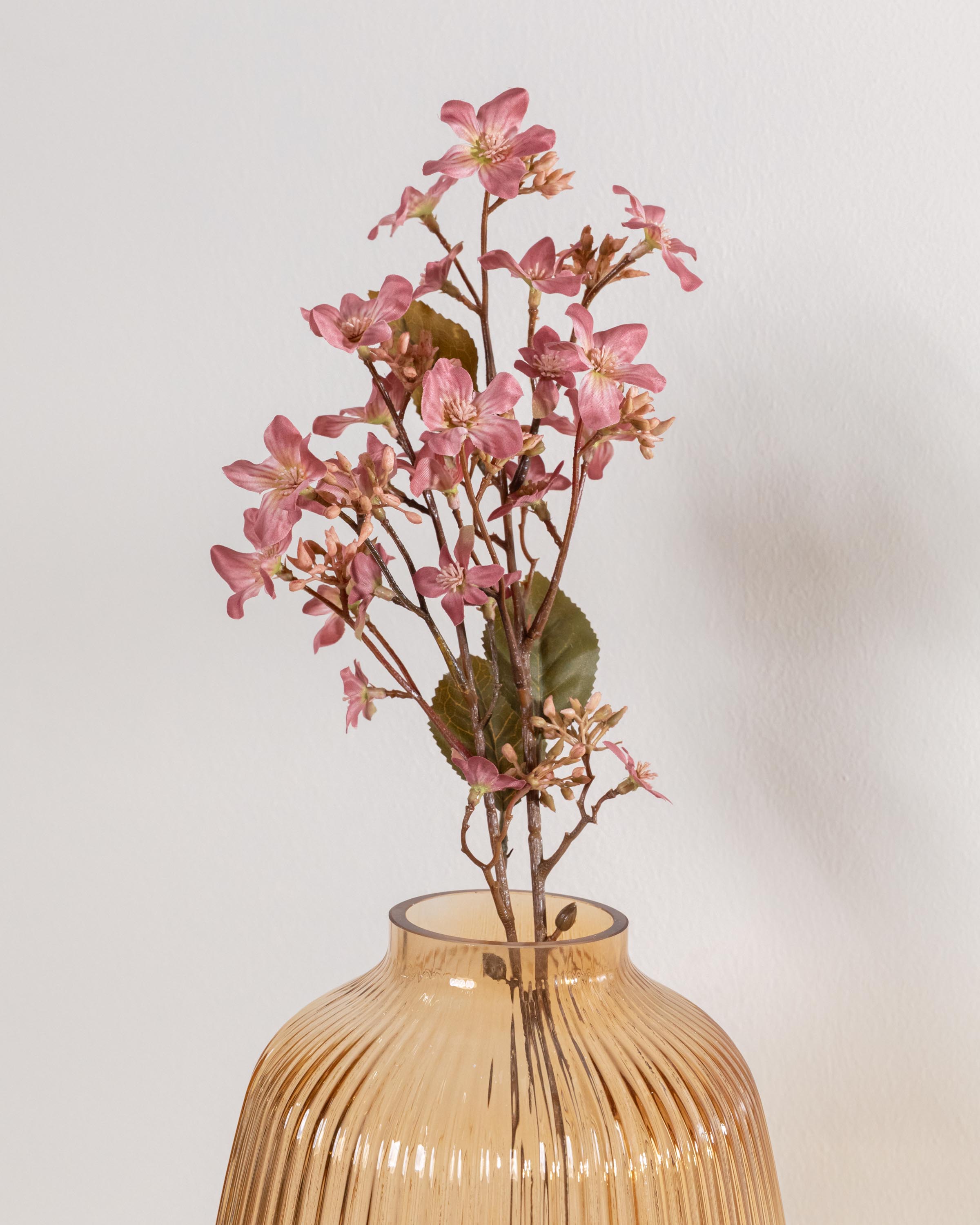 Rama Tung Rosa
