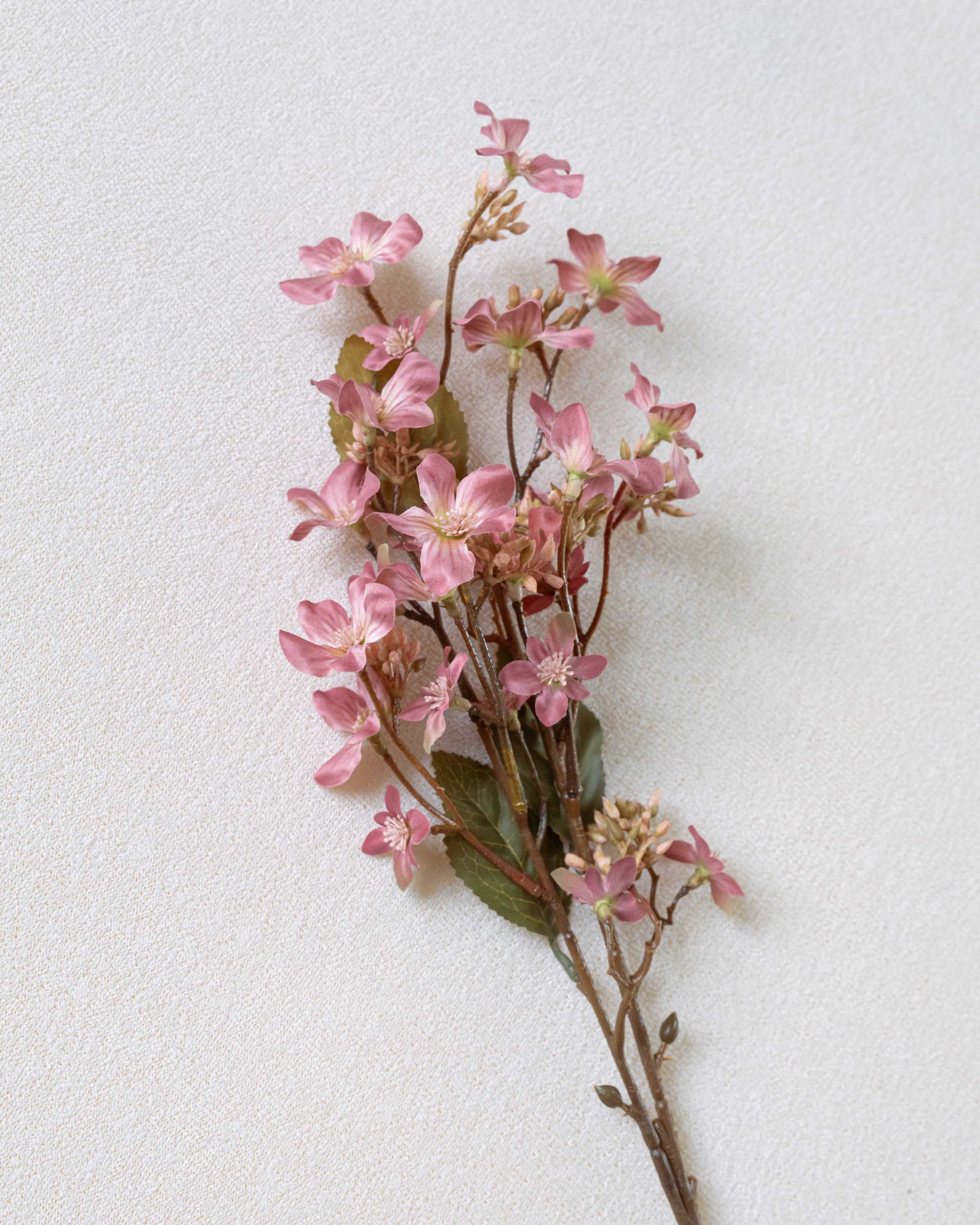 Rama Tung Rosa