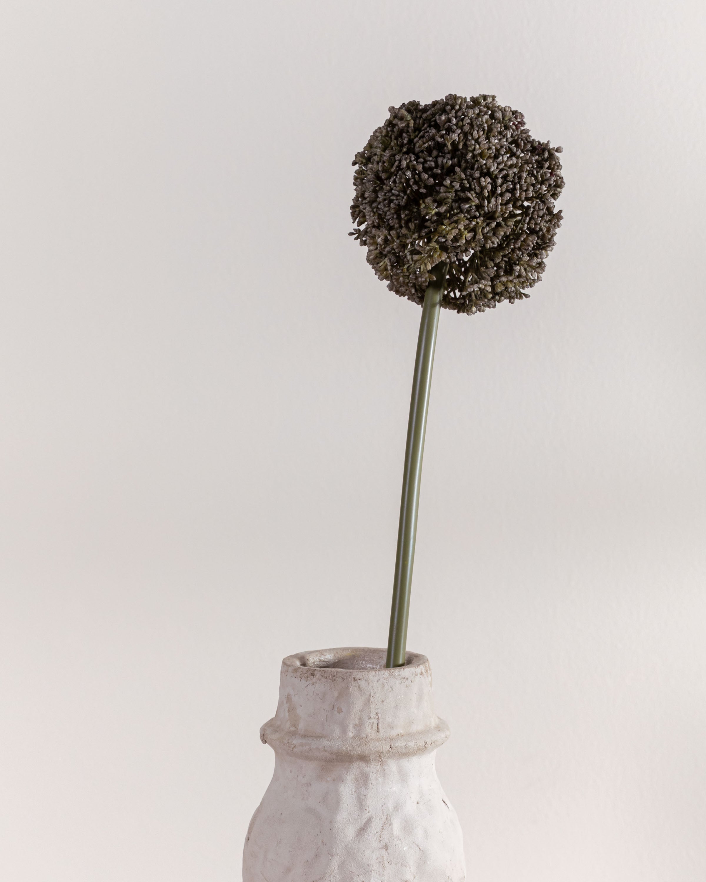 Flor Allium Gris Perla