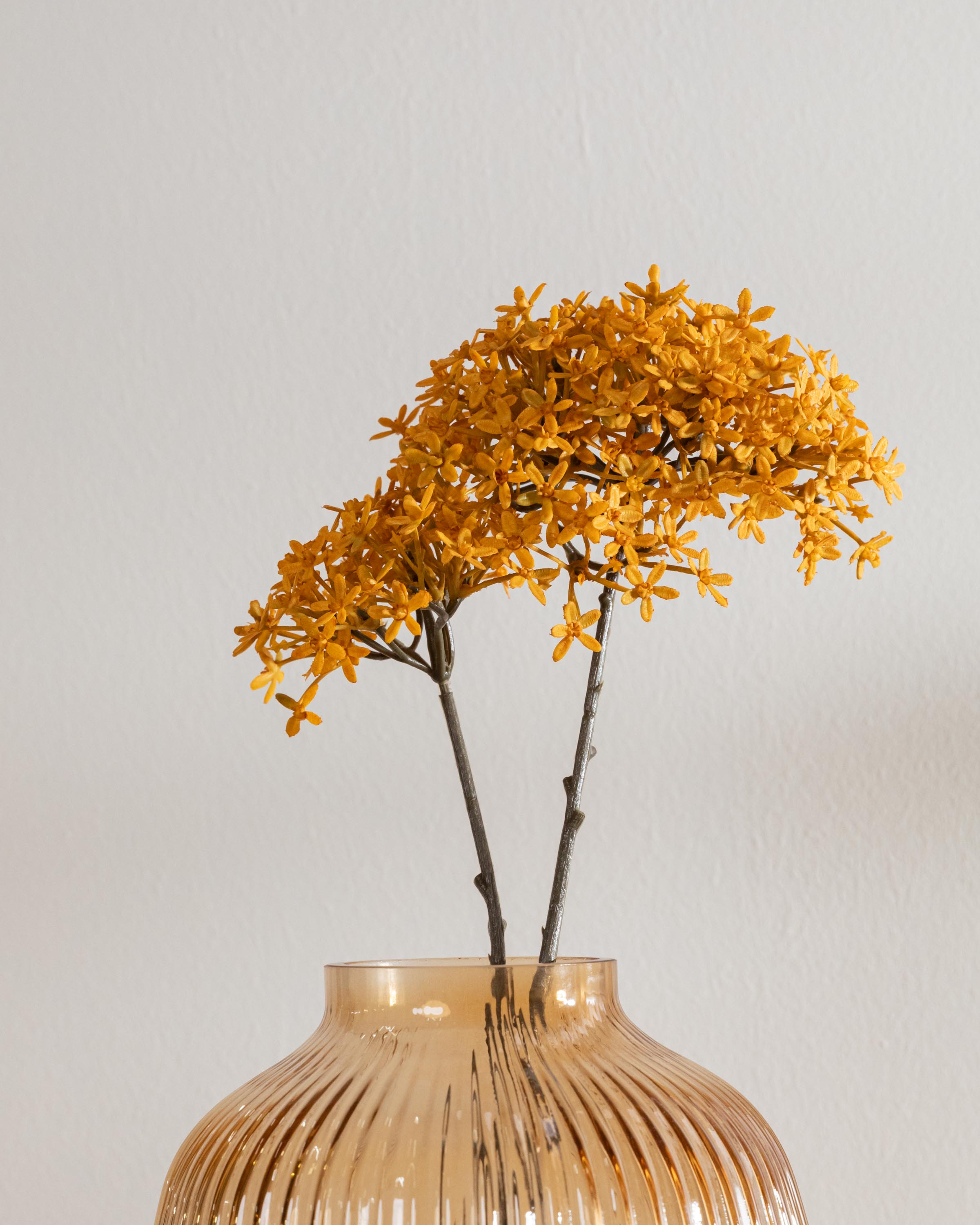 Flor da Coroa Ocre