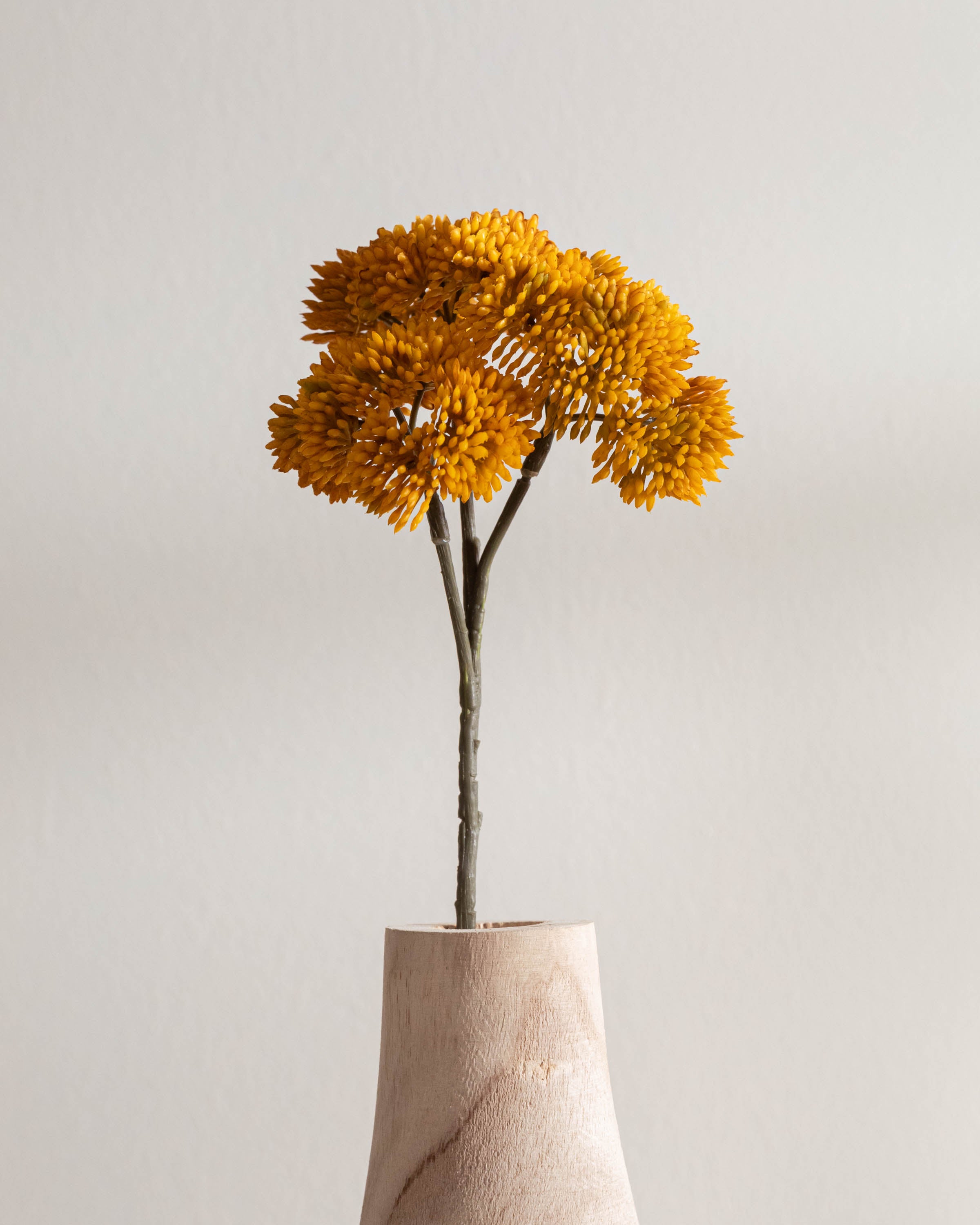 Flor de Sedum Ocre