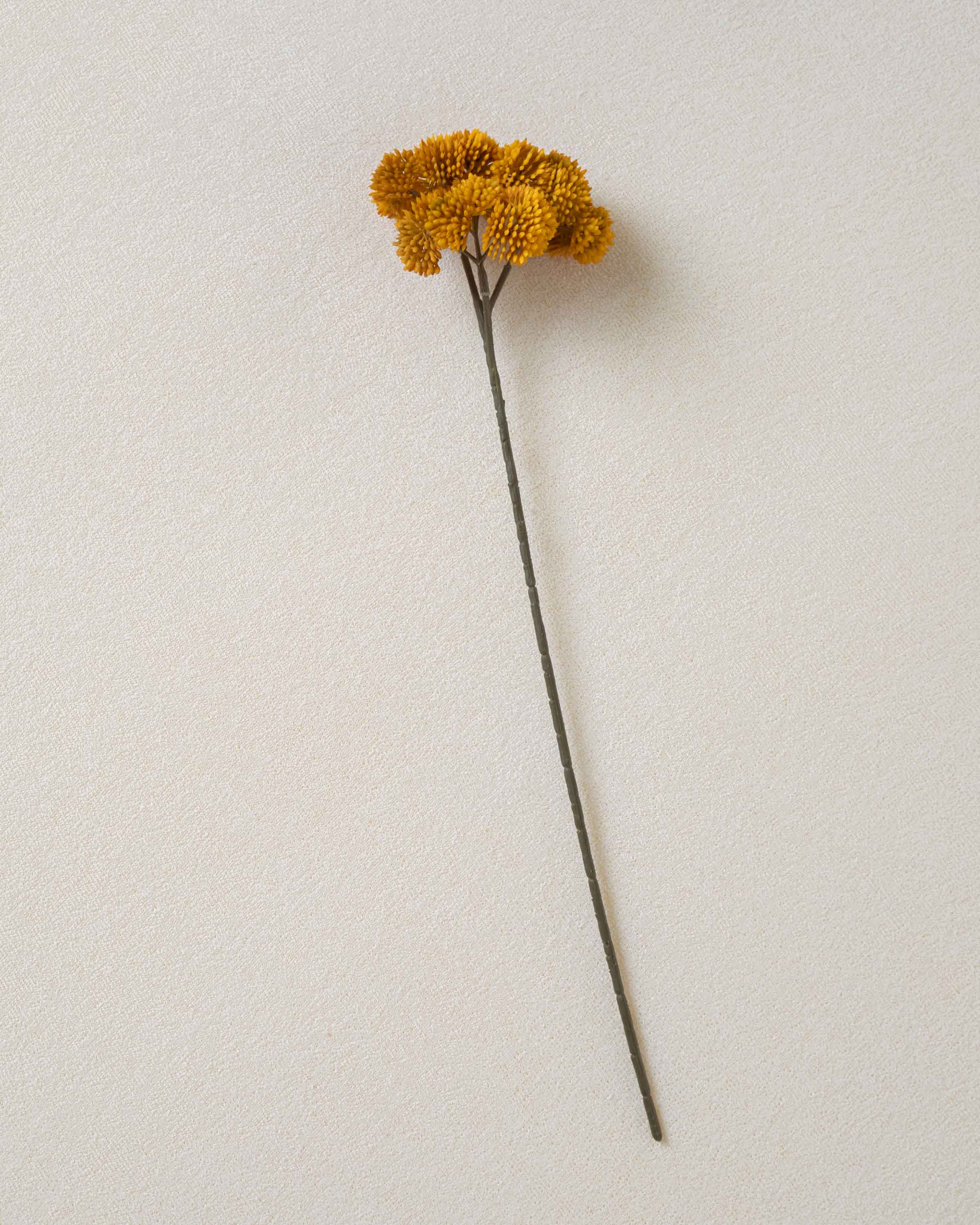 Flor de Sedum Ocre