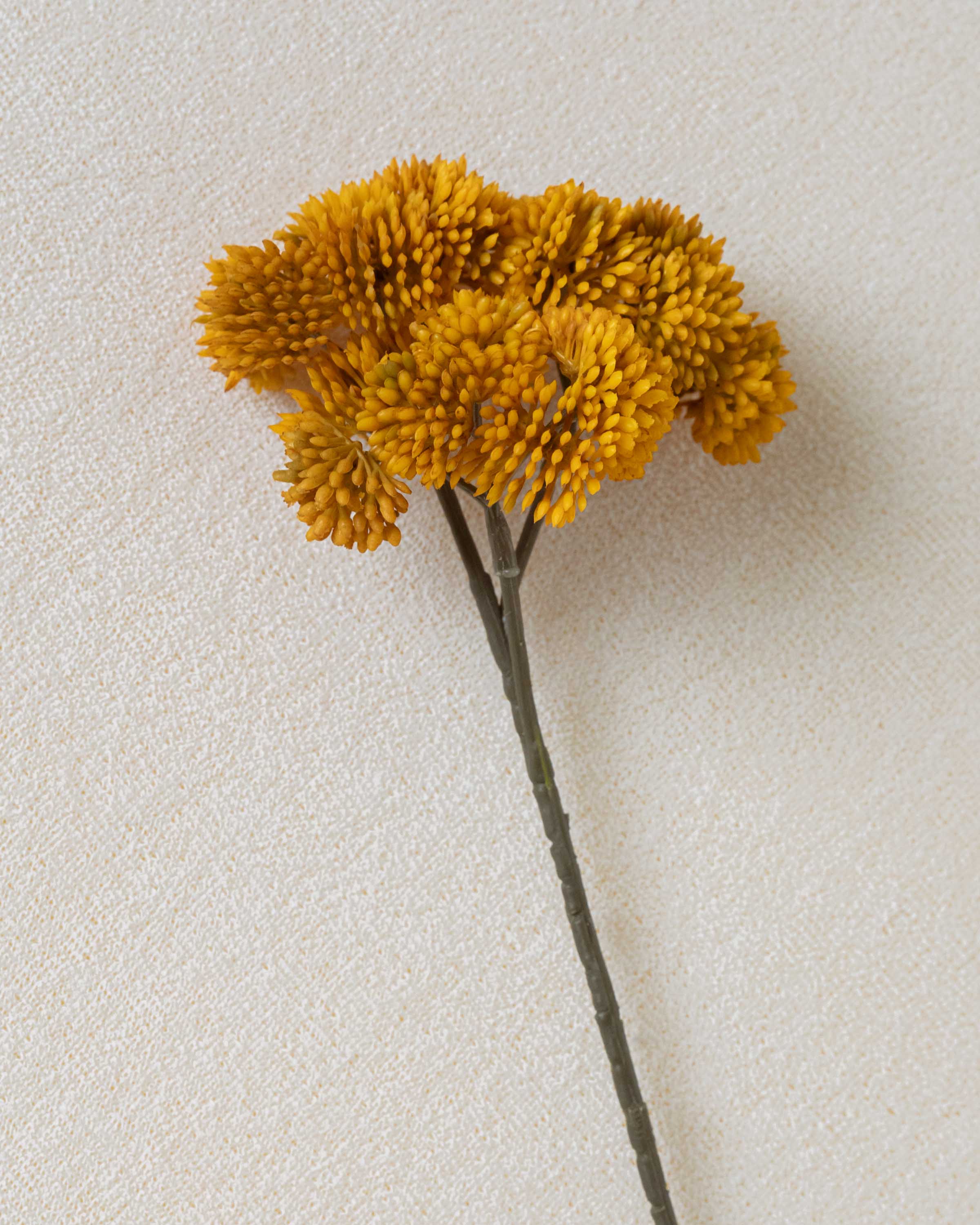 Flor de Sedum Ocre