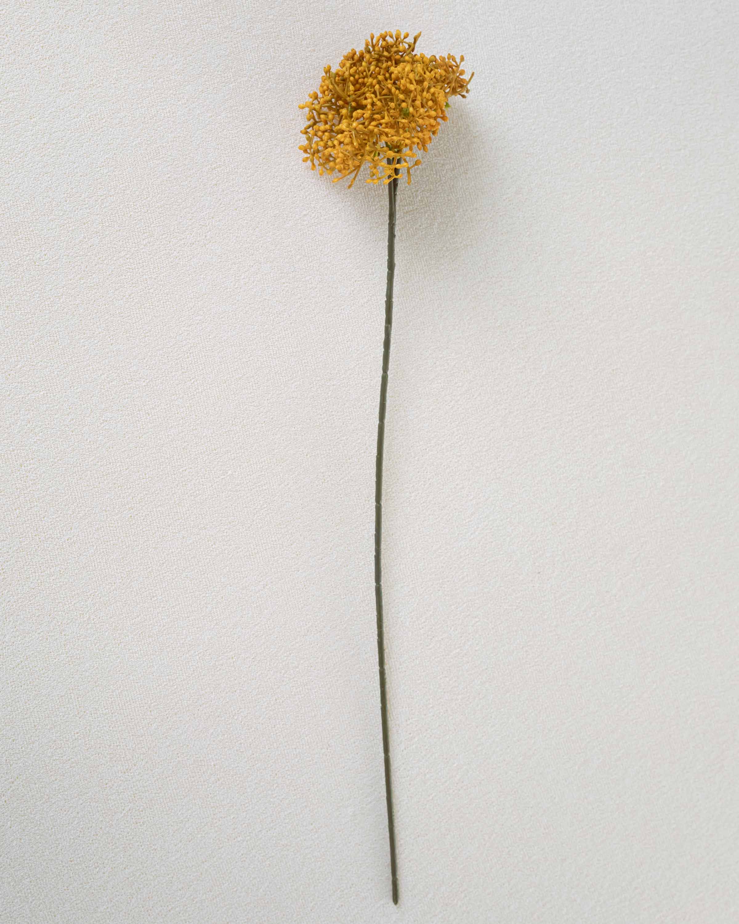 Rama Saúco Ocre