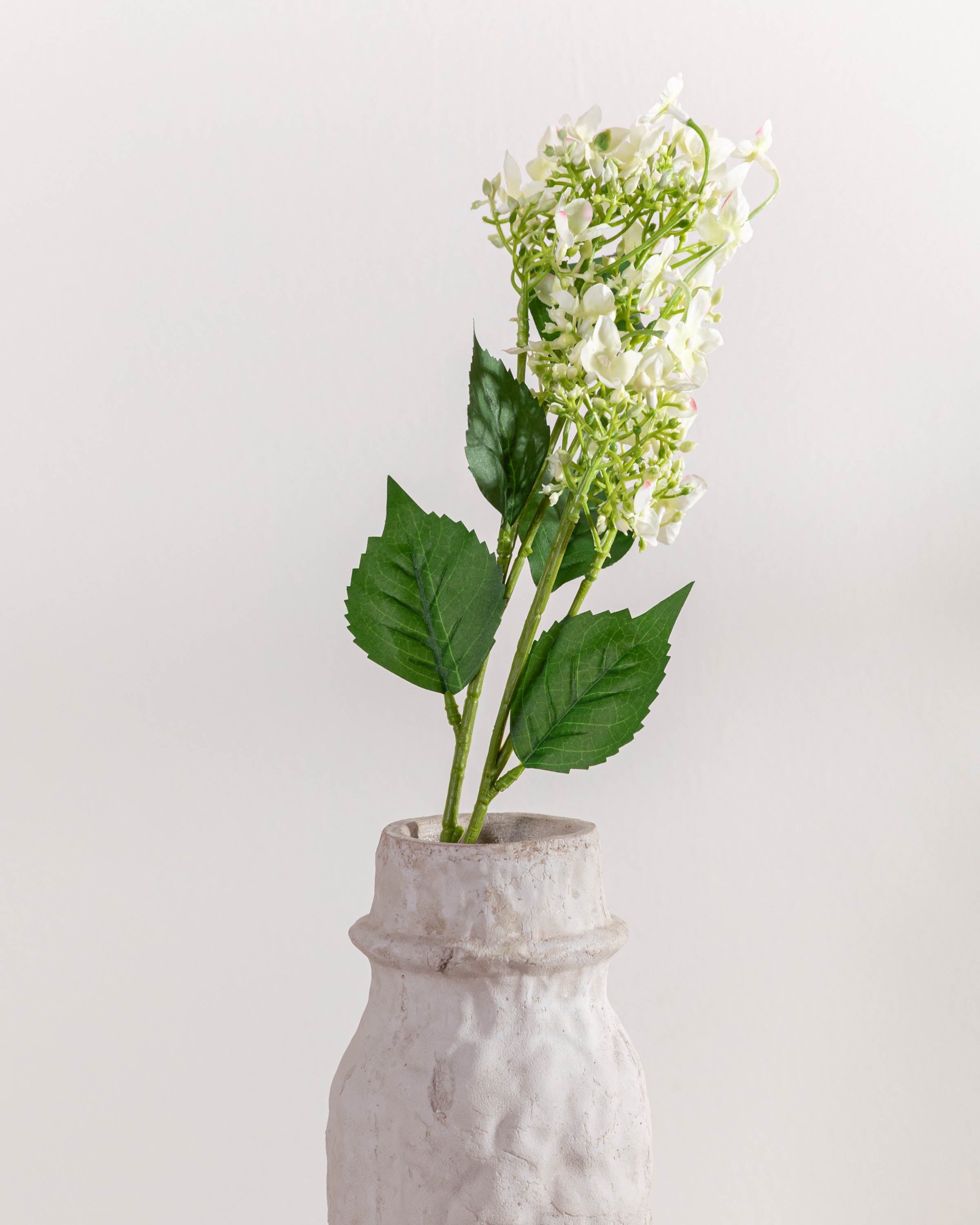Rama Hortensias Beige