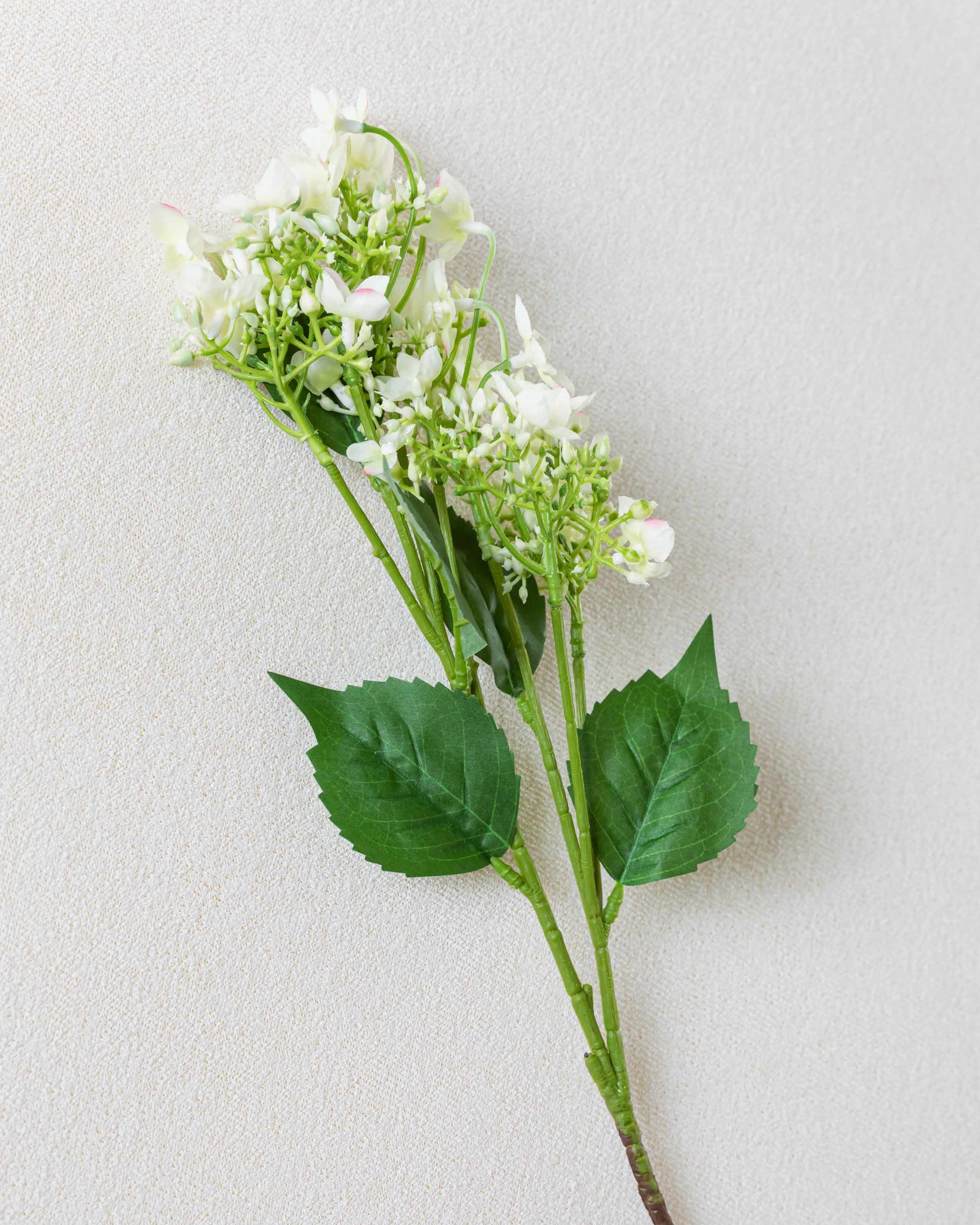 Rama Hortensias Beige