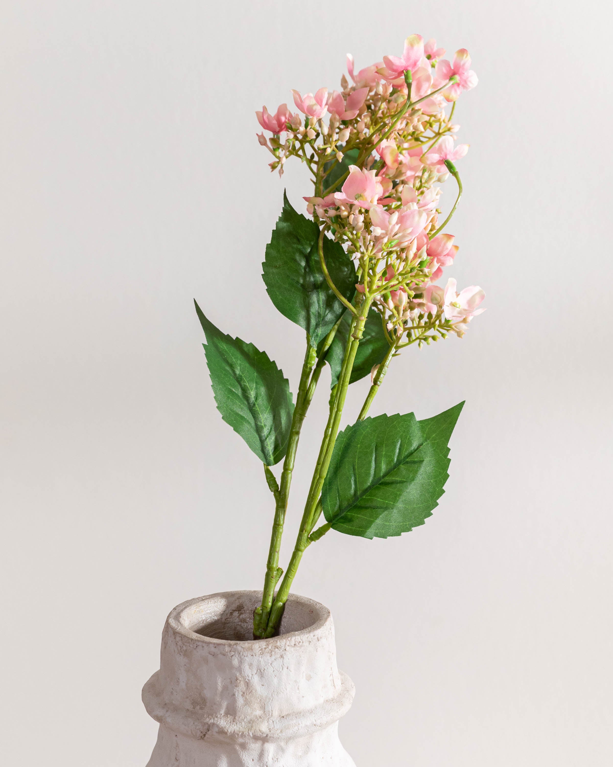 Rama Hortensias Rosa