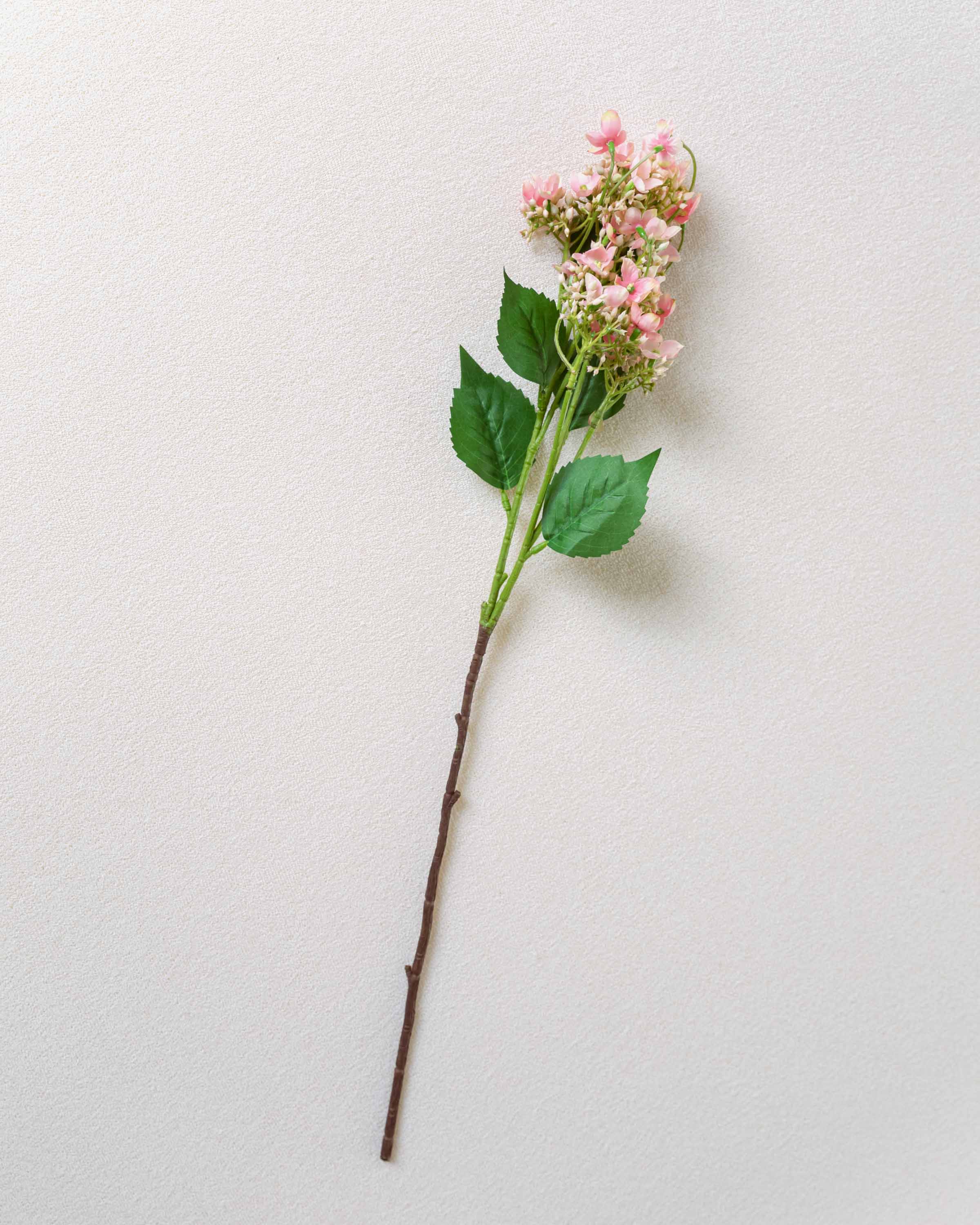 Rama Hortensias Rosa