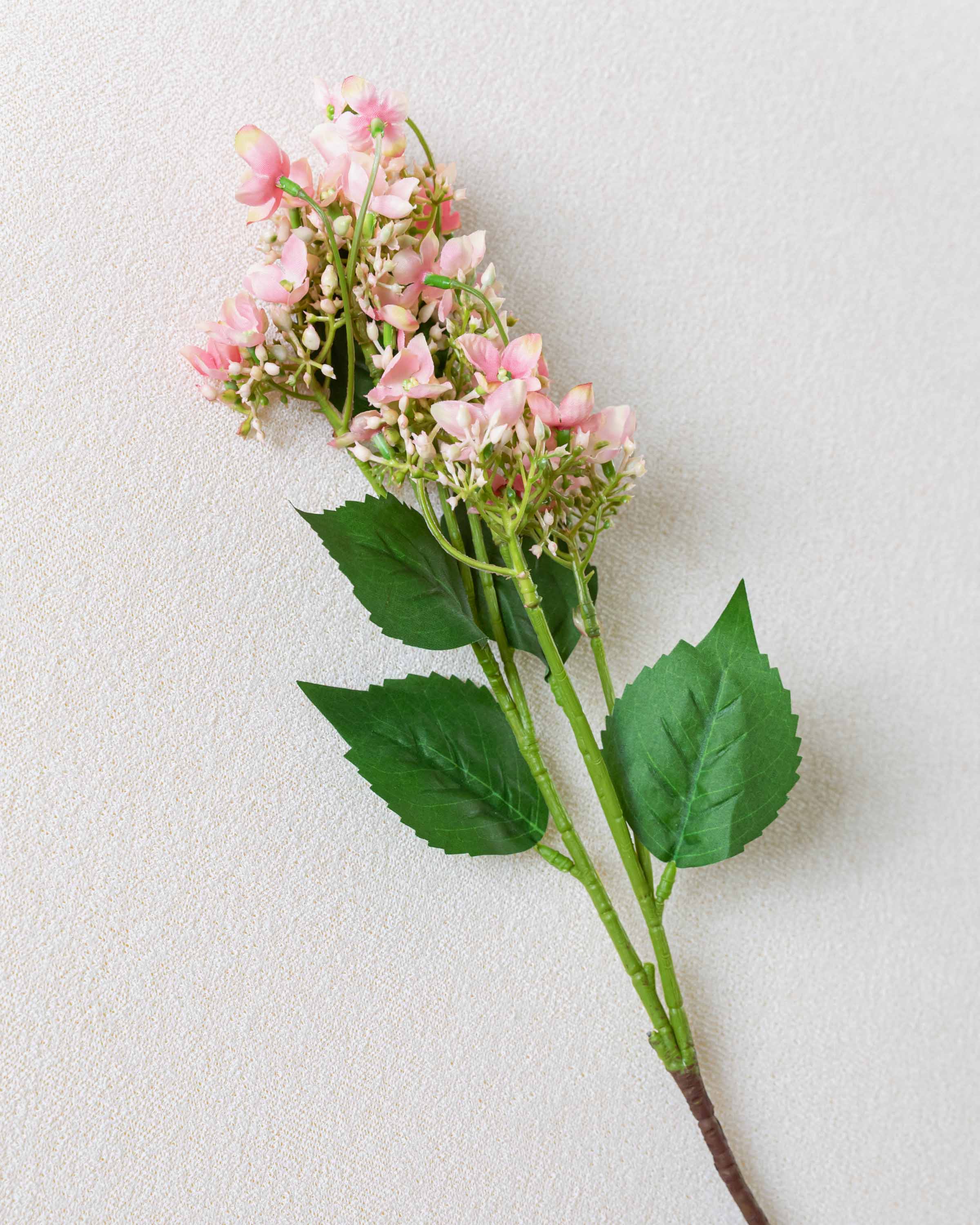 Rama Hortensias Rosa