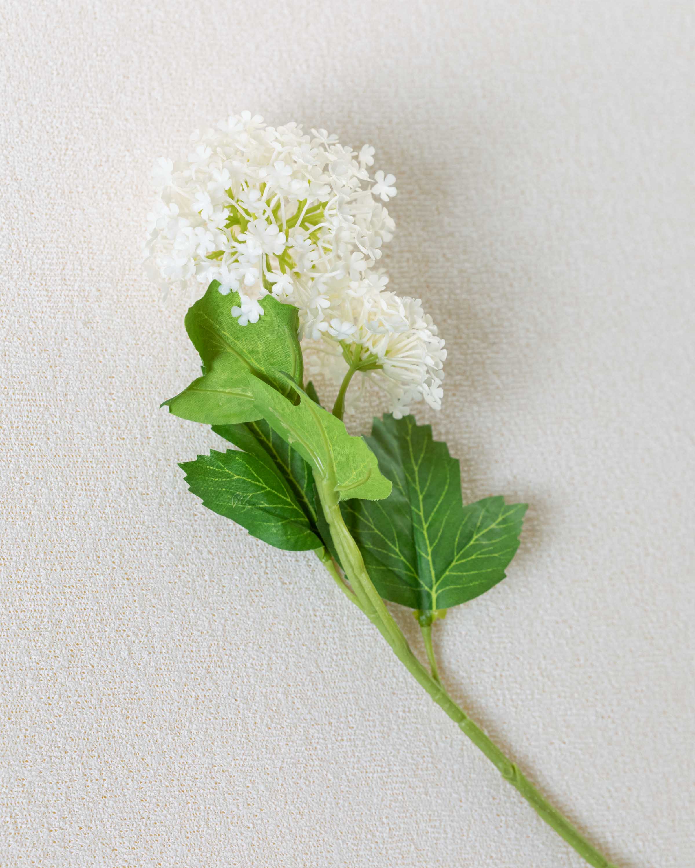 Rama Nieve Beige