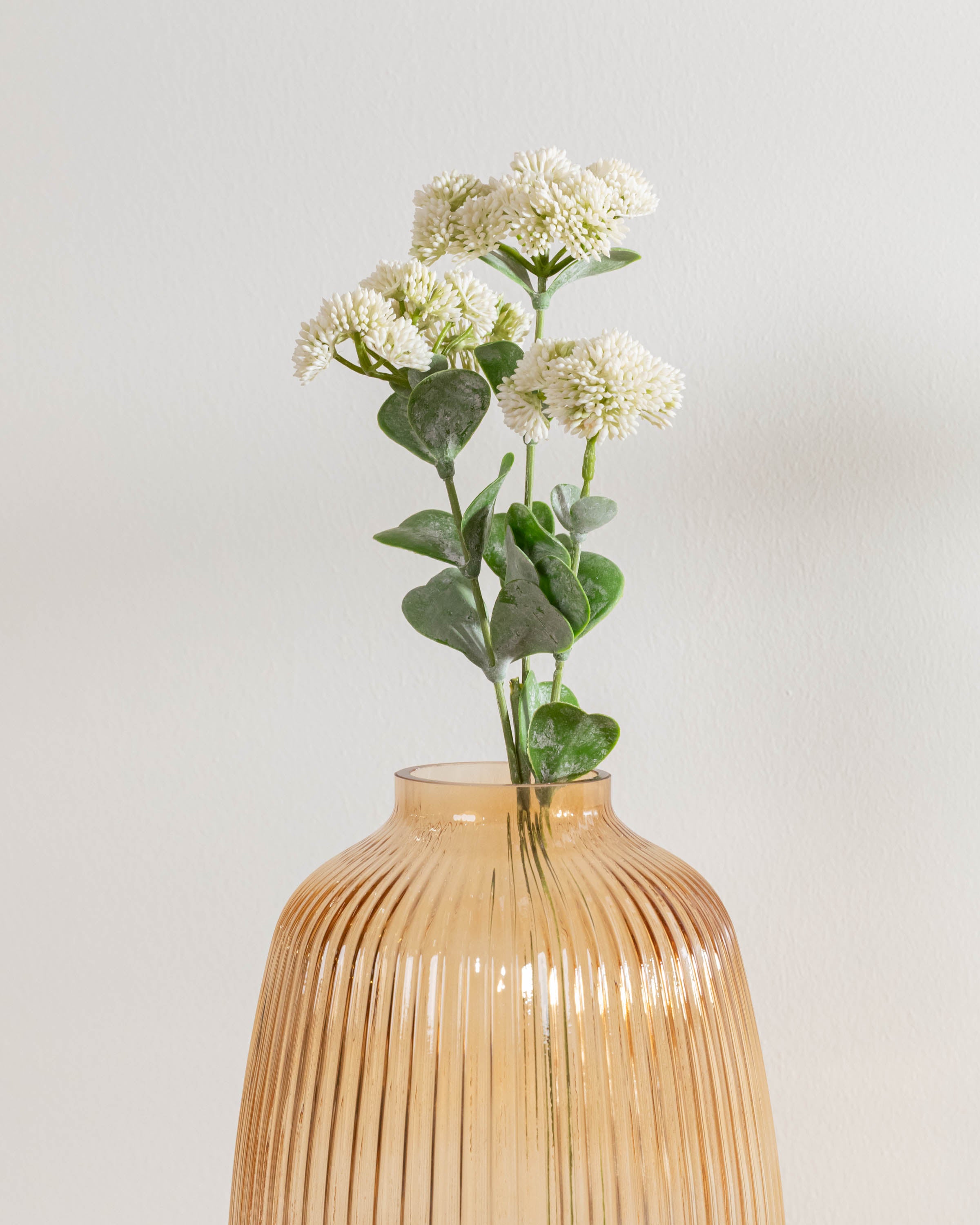 Rama Sedum Blanco