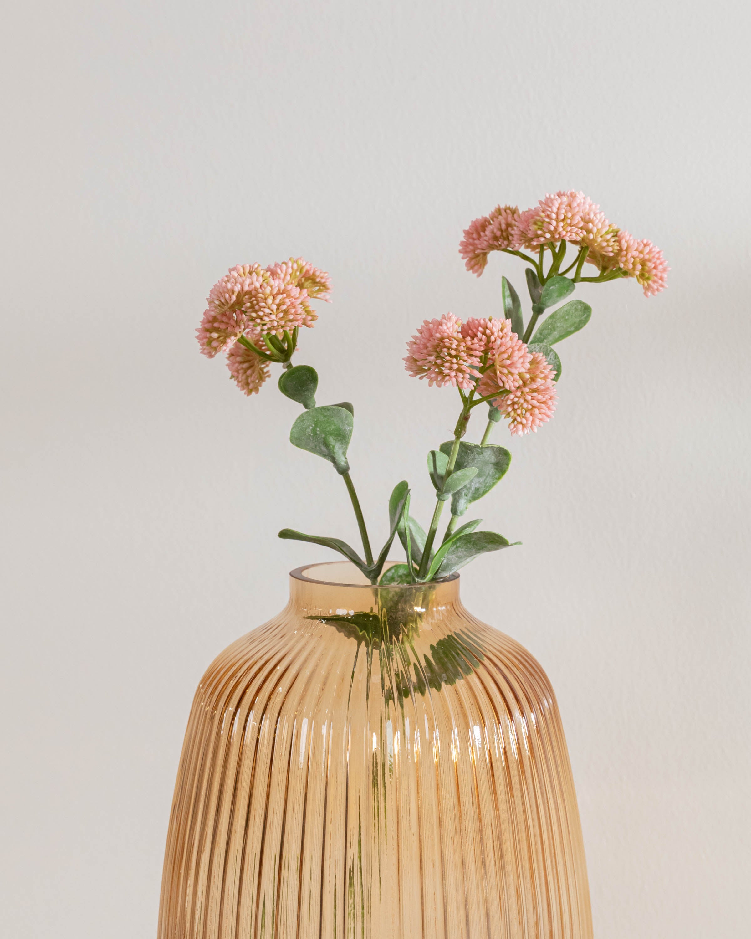 Rama Sedum Rosa