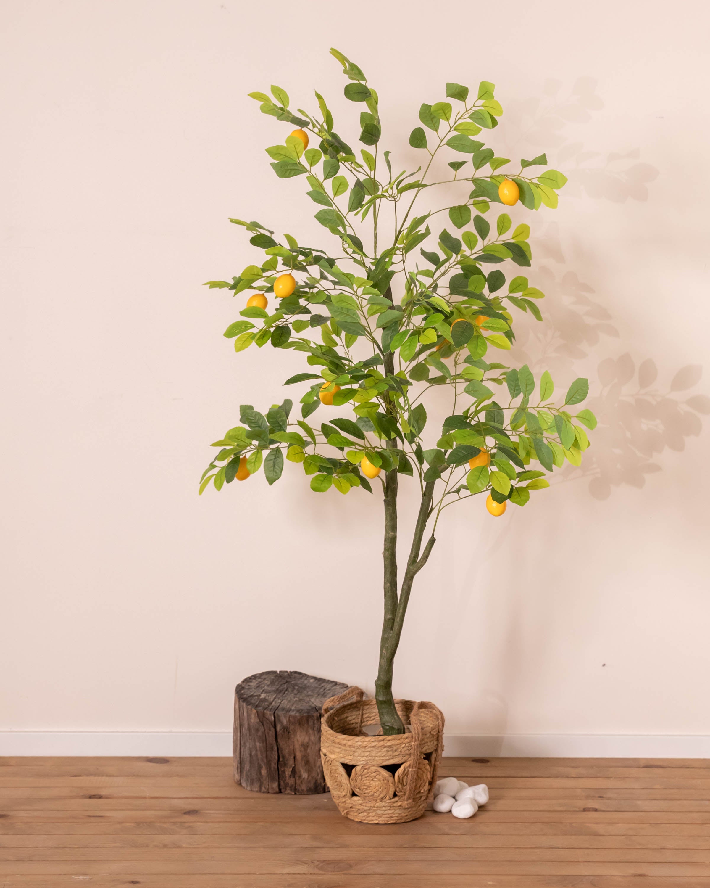 Limonero Verde