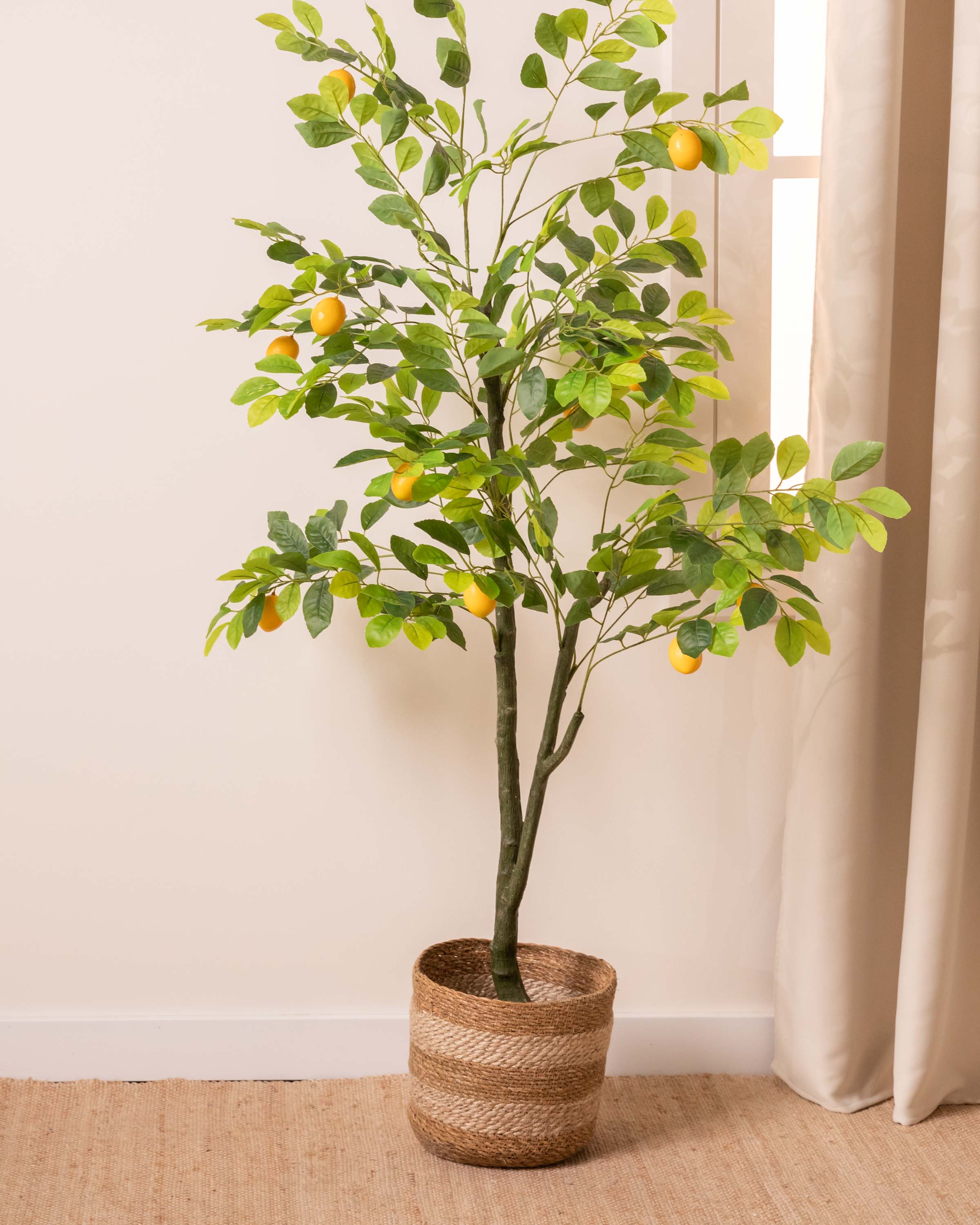 Limonero Verde